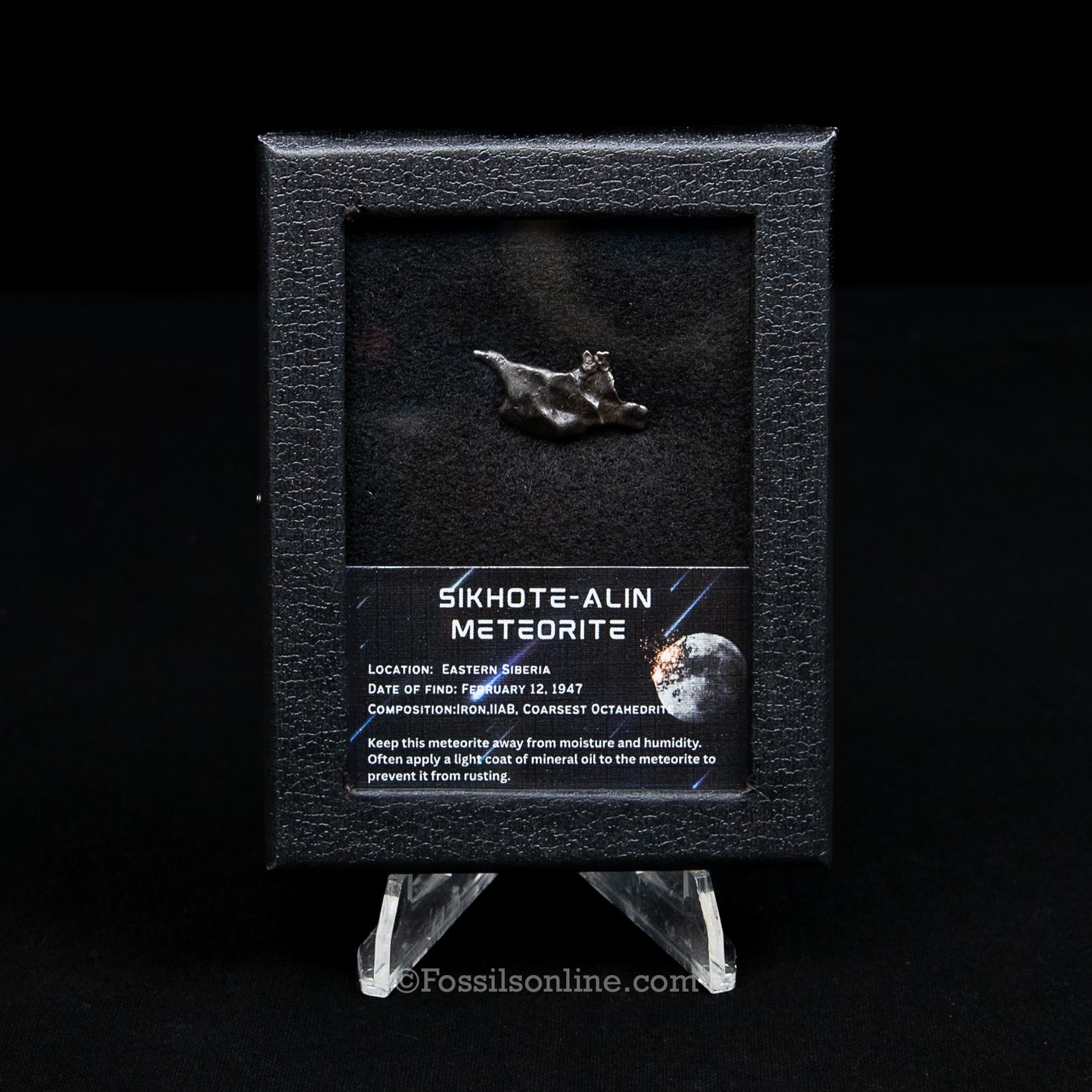Sikhote-Alin Meteorite in a case