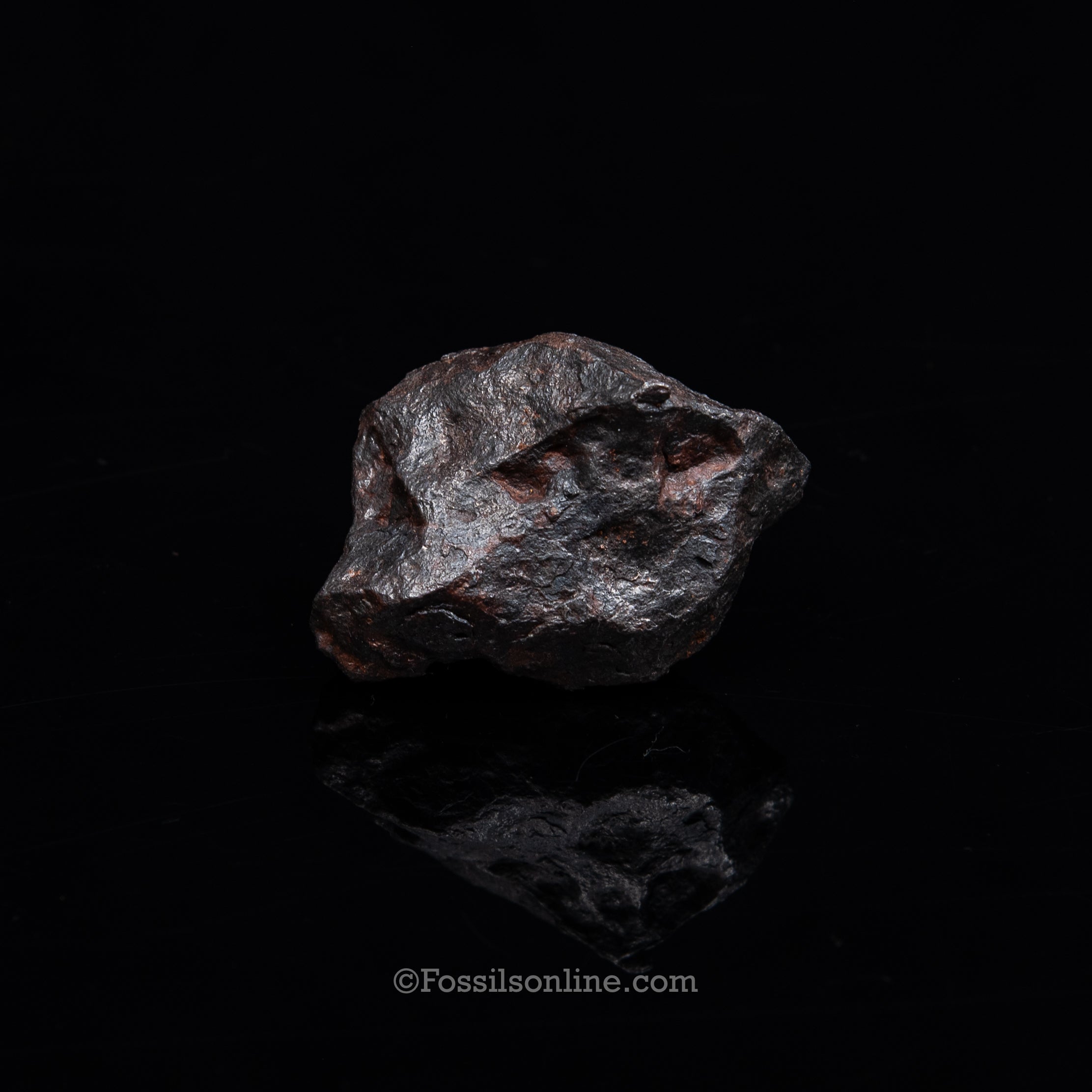 Genuine Campo del Cielo Meteorite 225GR