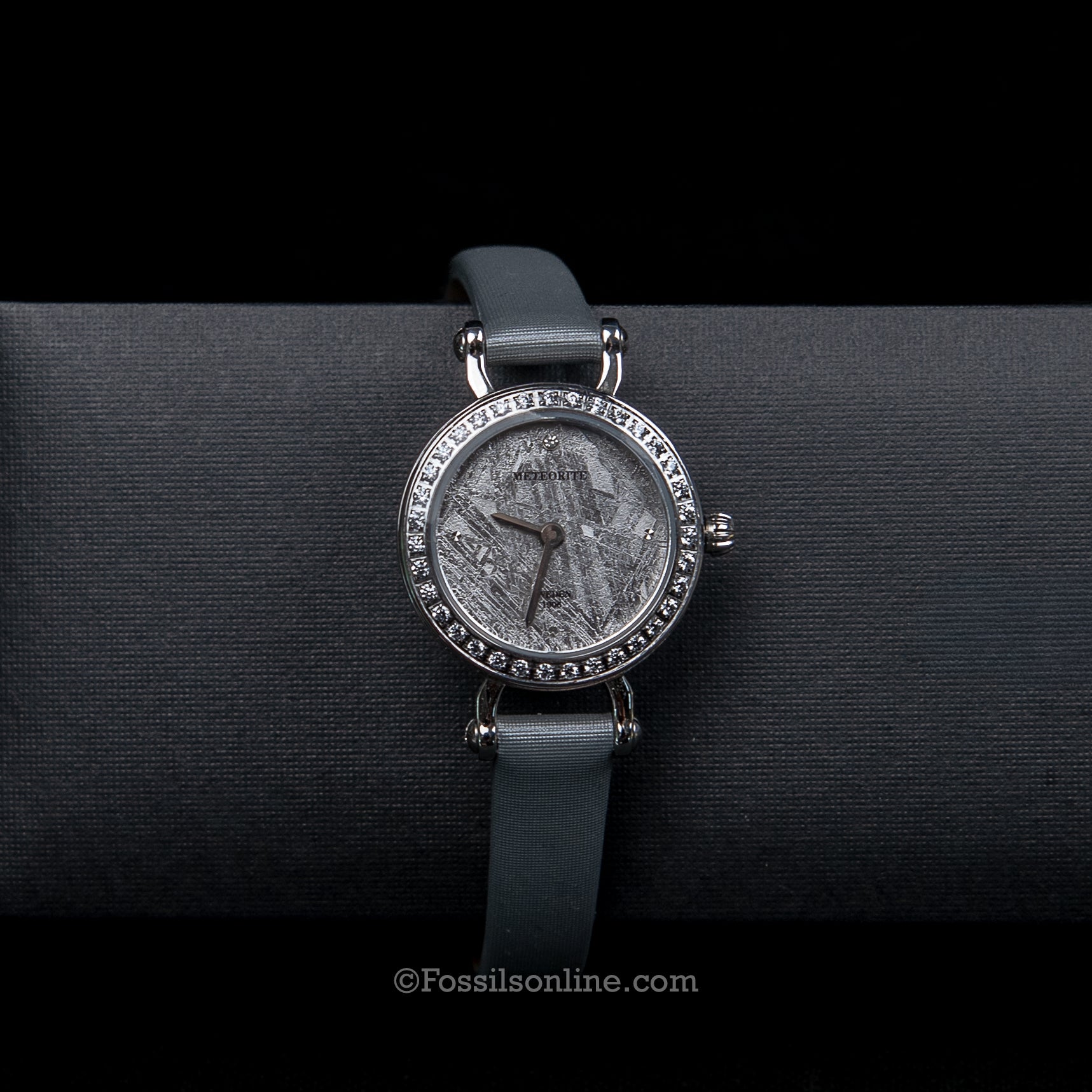 Muonionalusta Meteorite Watch