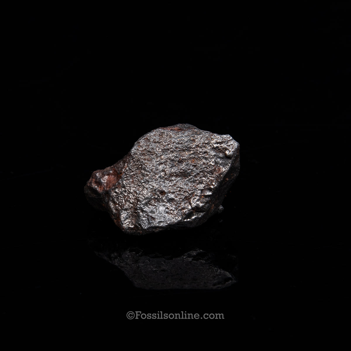 Genuine Campo del Cielo Meteorite 225GR