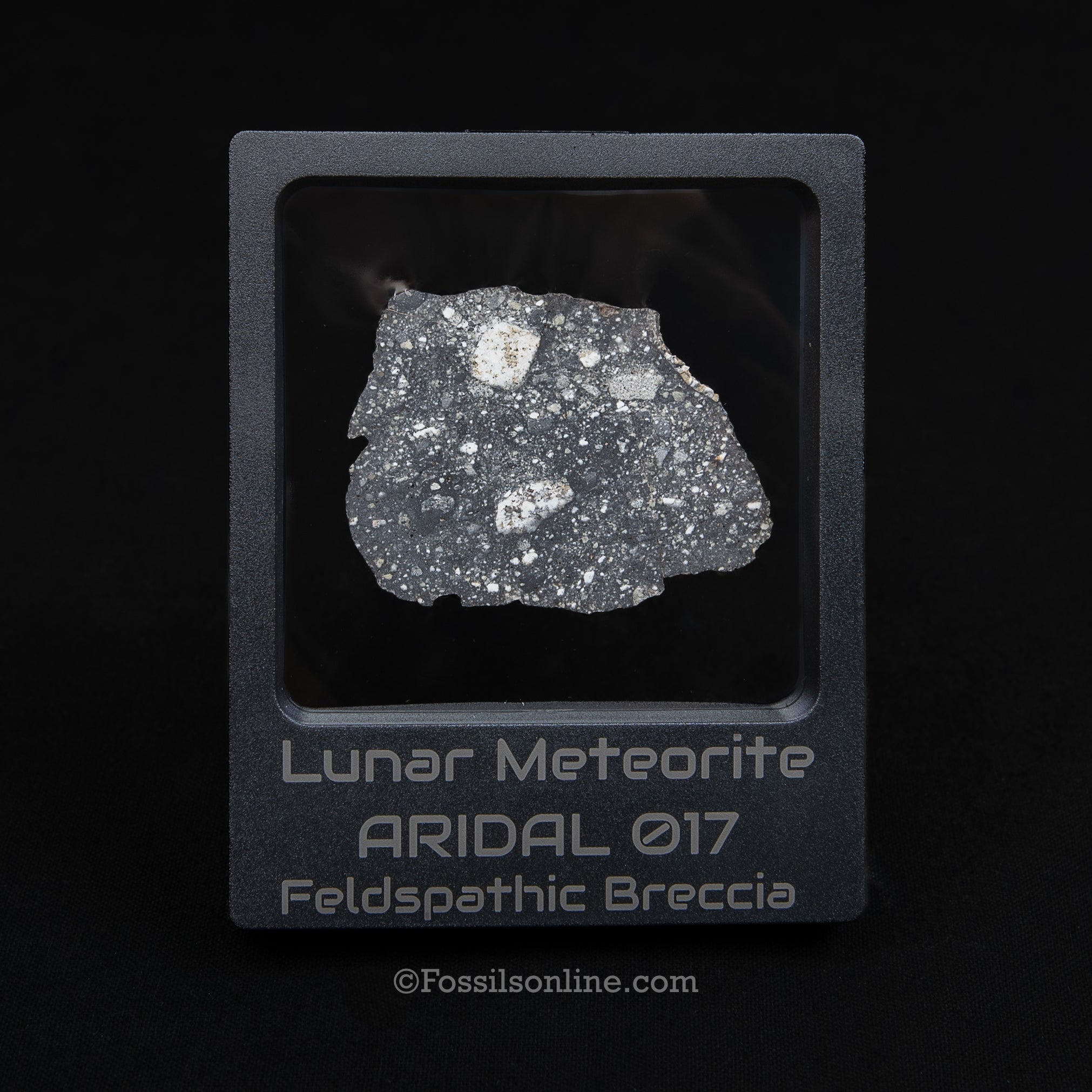 Aridal 017 Lunar Meteorite Slice 10.63gr