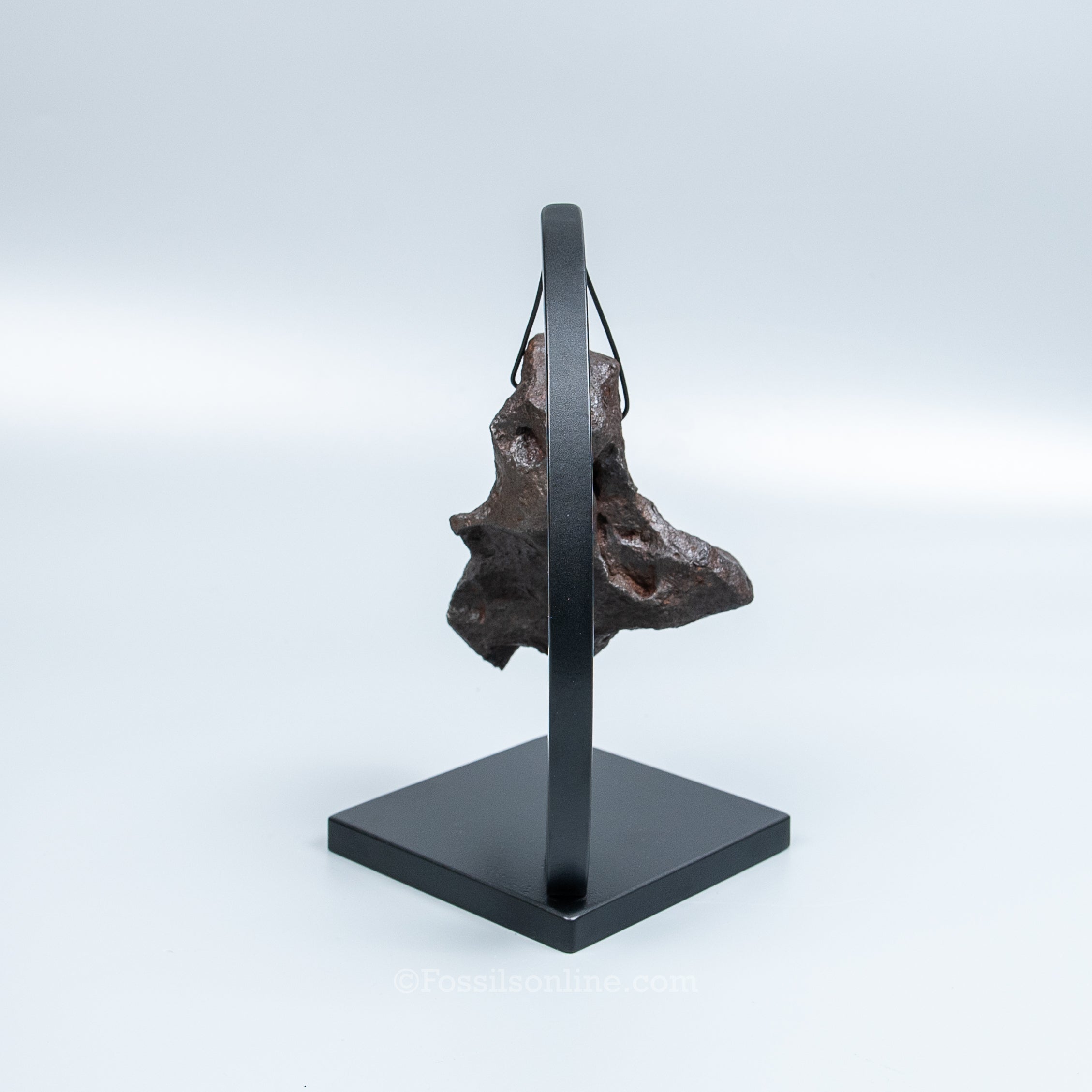 Genuine Campo del Cielo Meteorite 1125GR