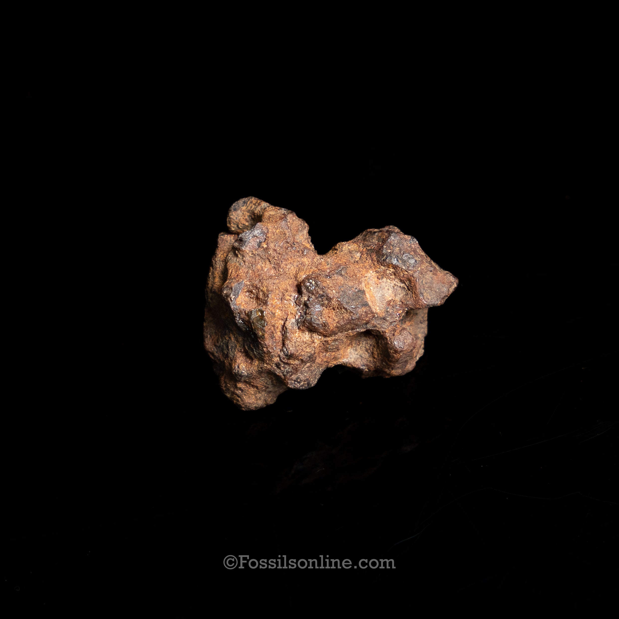 Genuine Sericho Meteorite in Glass Dome