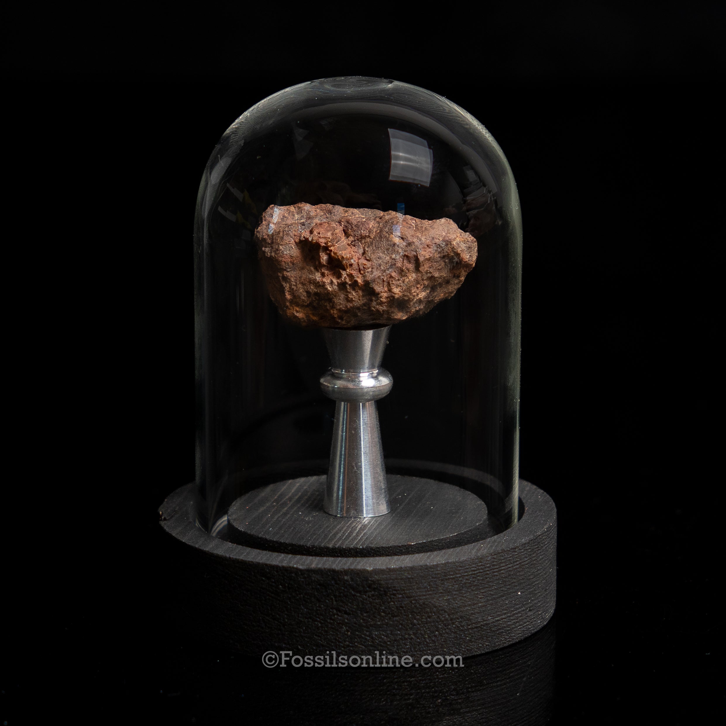Genuine Vaca Muerta Meteorite in Glass Dome