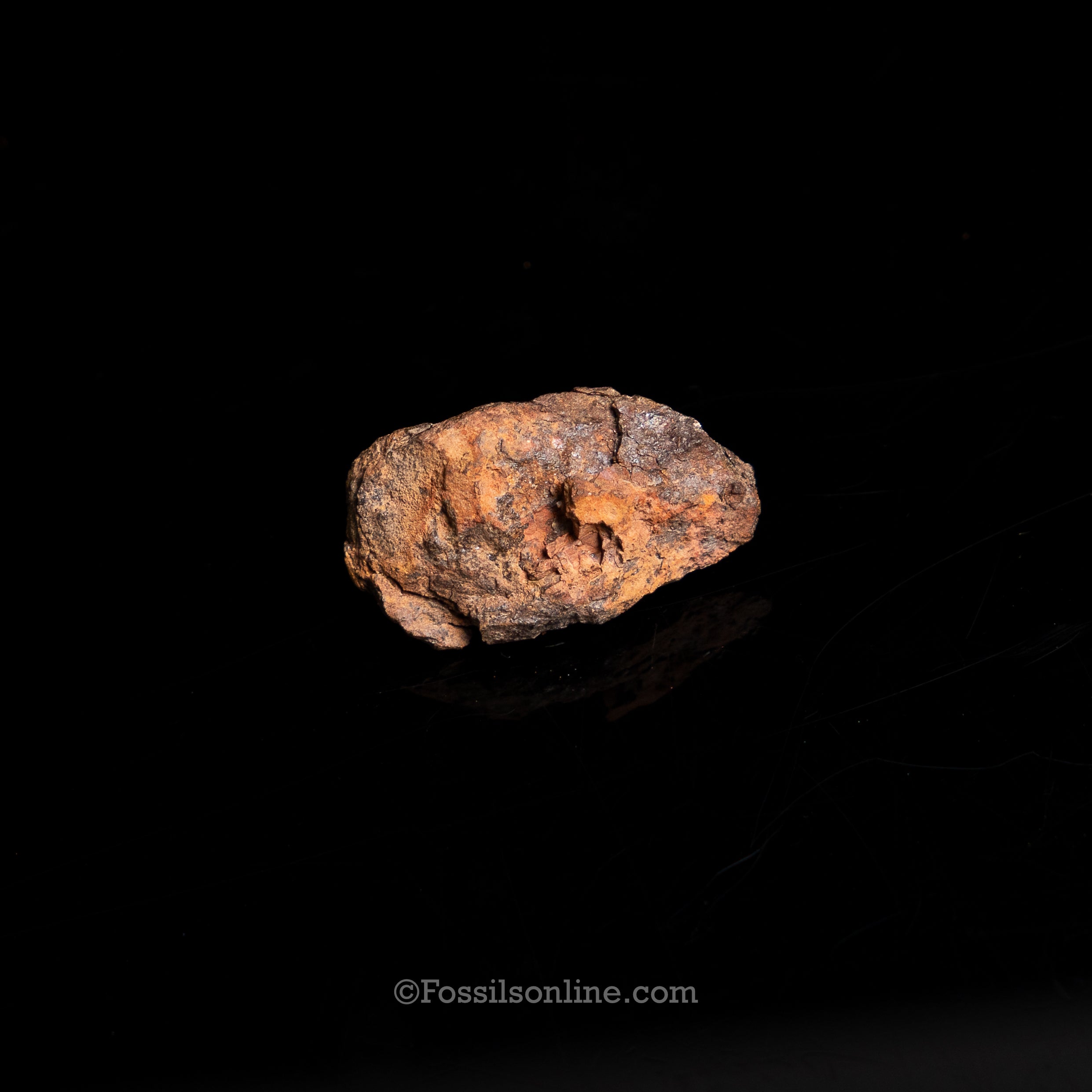 Genuine Vaca Muerta Meteorite in Glass Dome