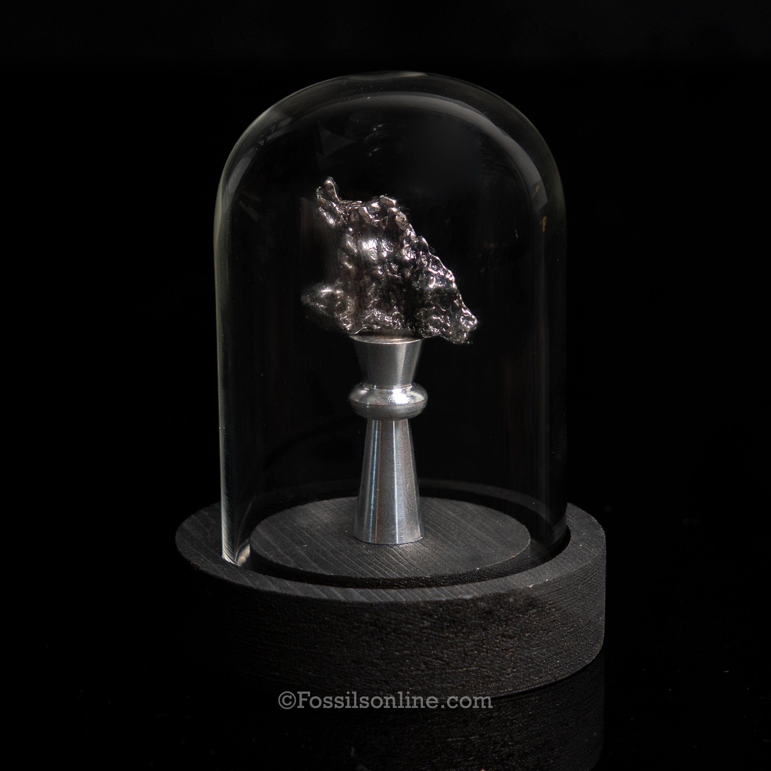 Genuine Campo del Cielo Meteorite in Glass Dome