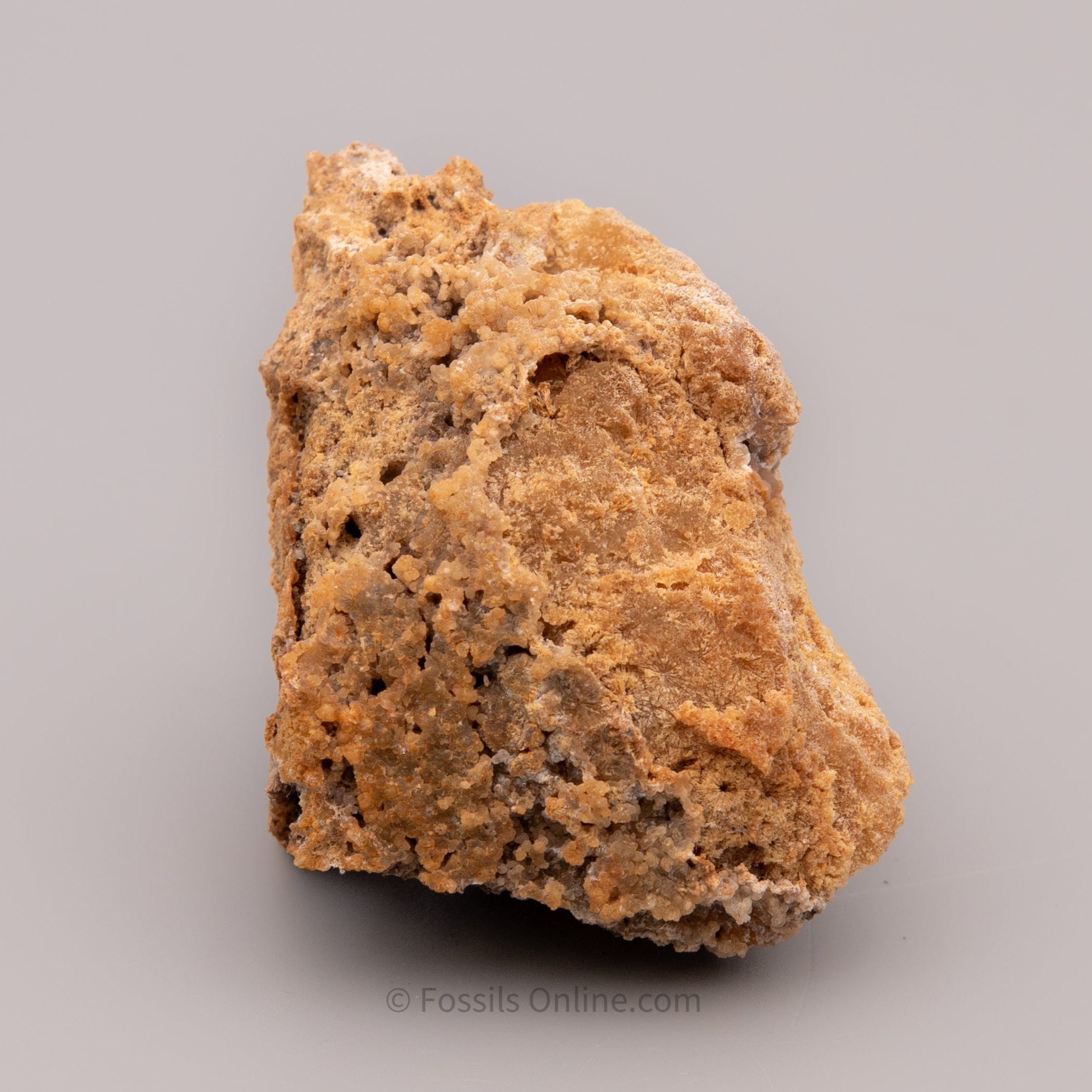Agatized Druzy Coral