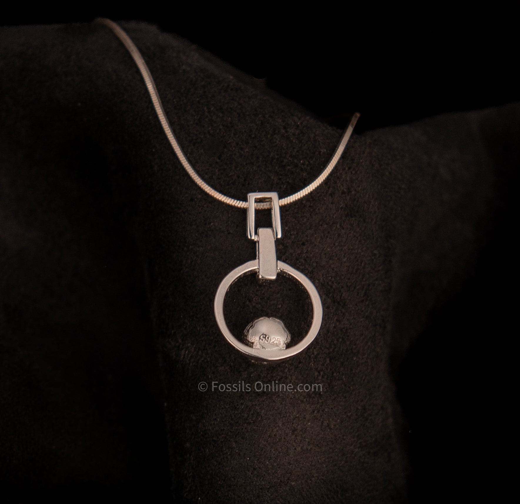 Muonionalusta Meteorite Pendant .925