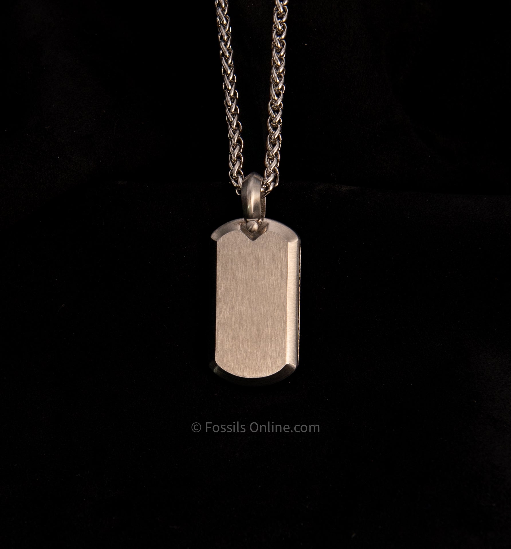 Muonionalusta Meteorite Pendant with Necklace SST