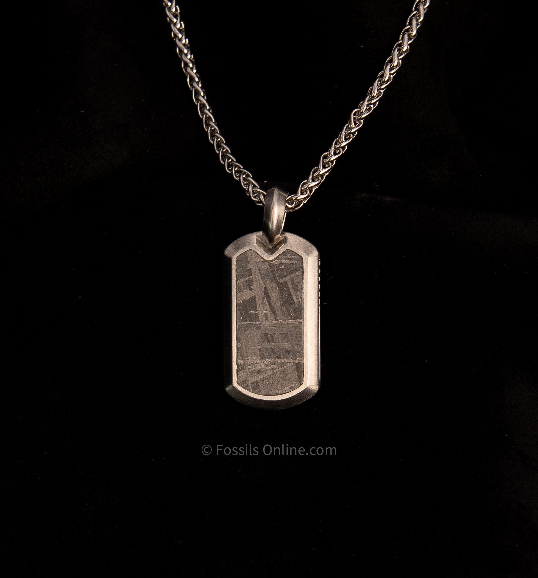 Muonionalusta Meteorite Pendant with Necklace SST