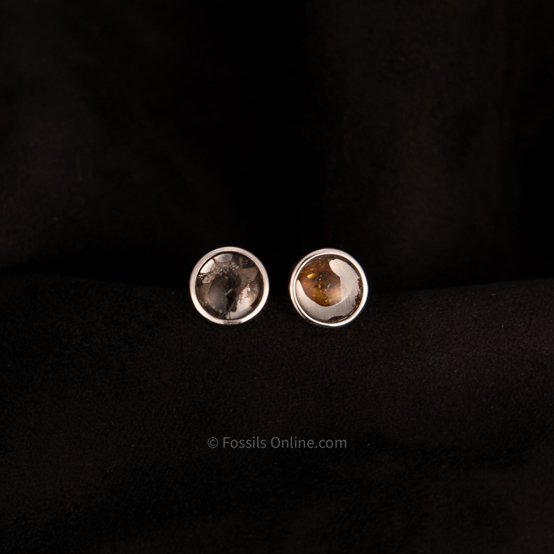 Pair of silver earrings with embedded sericho meteorite on a background