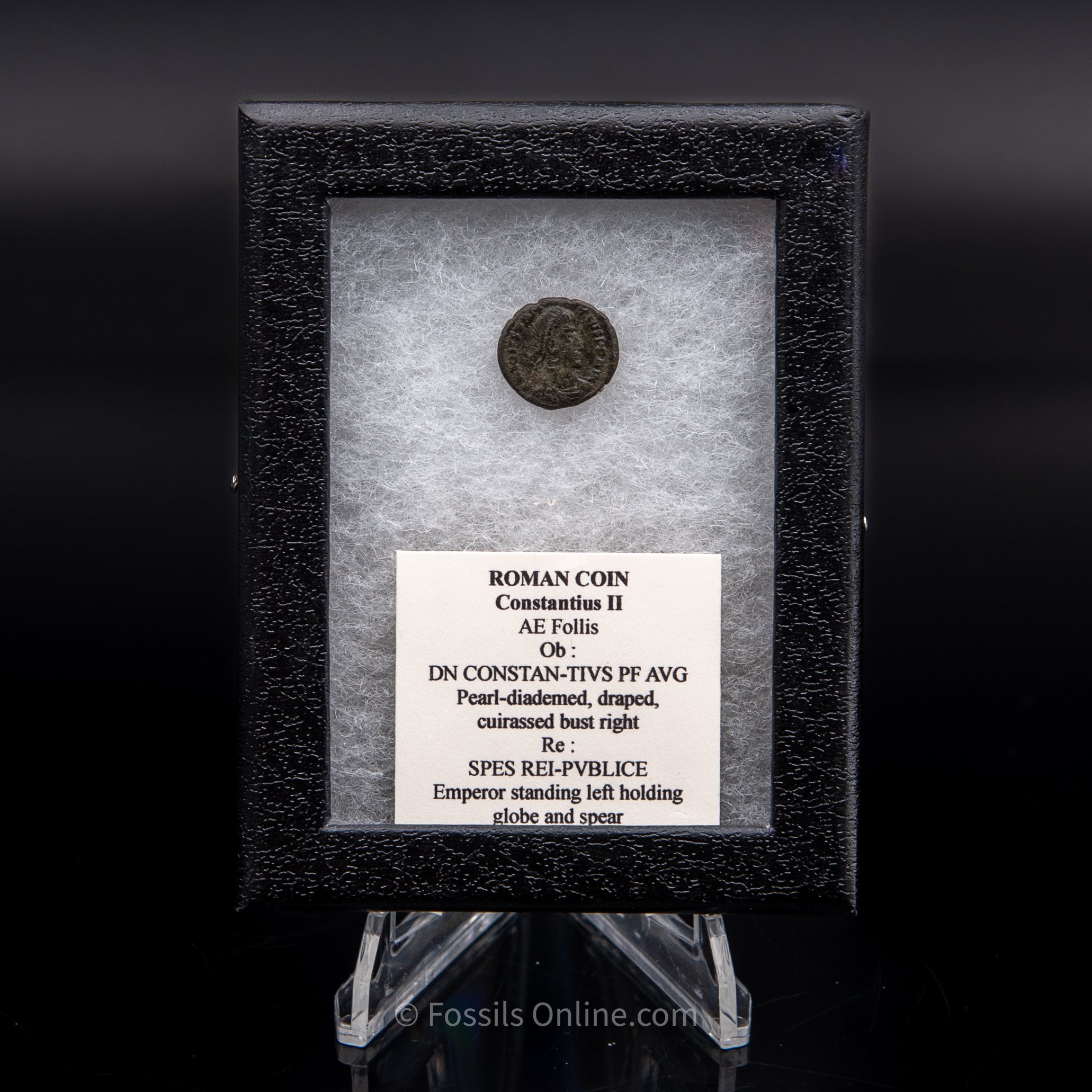 Roman Coin