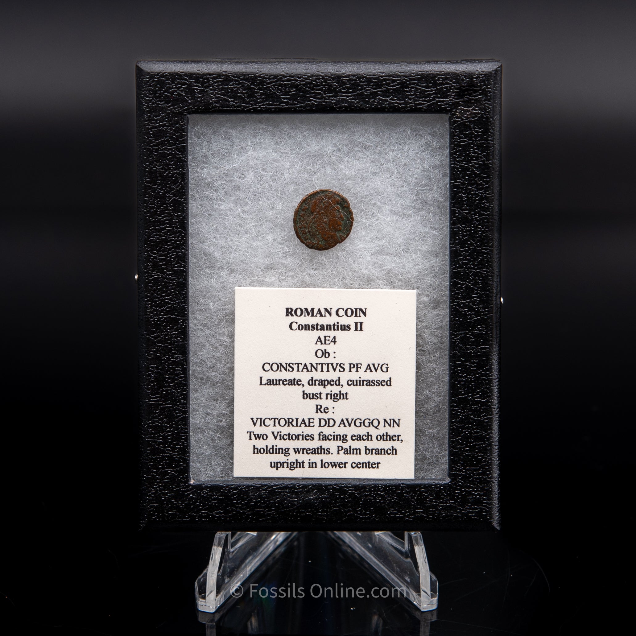 Roman Coin