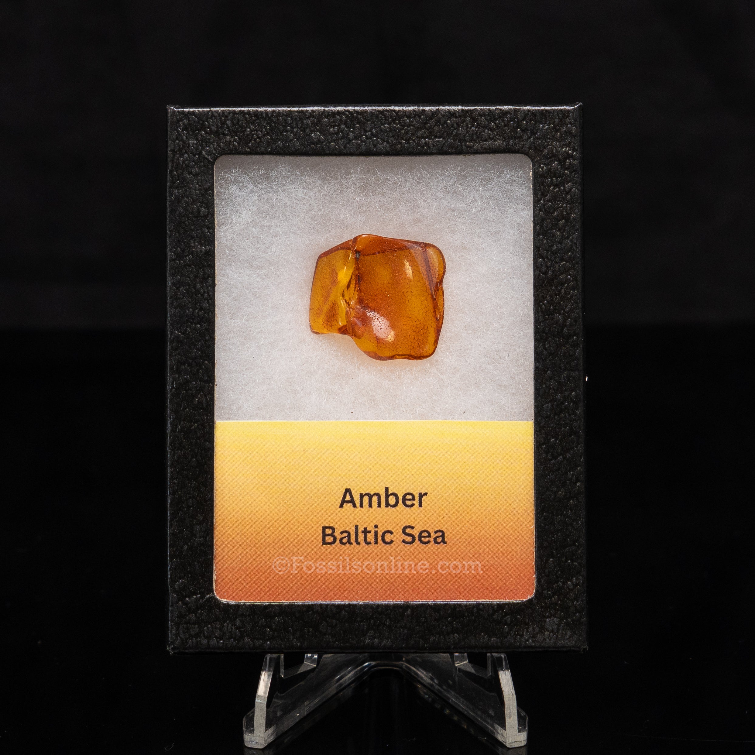 Baltic Amber
