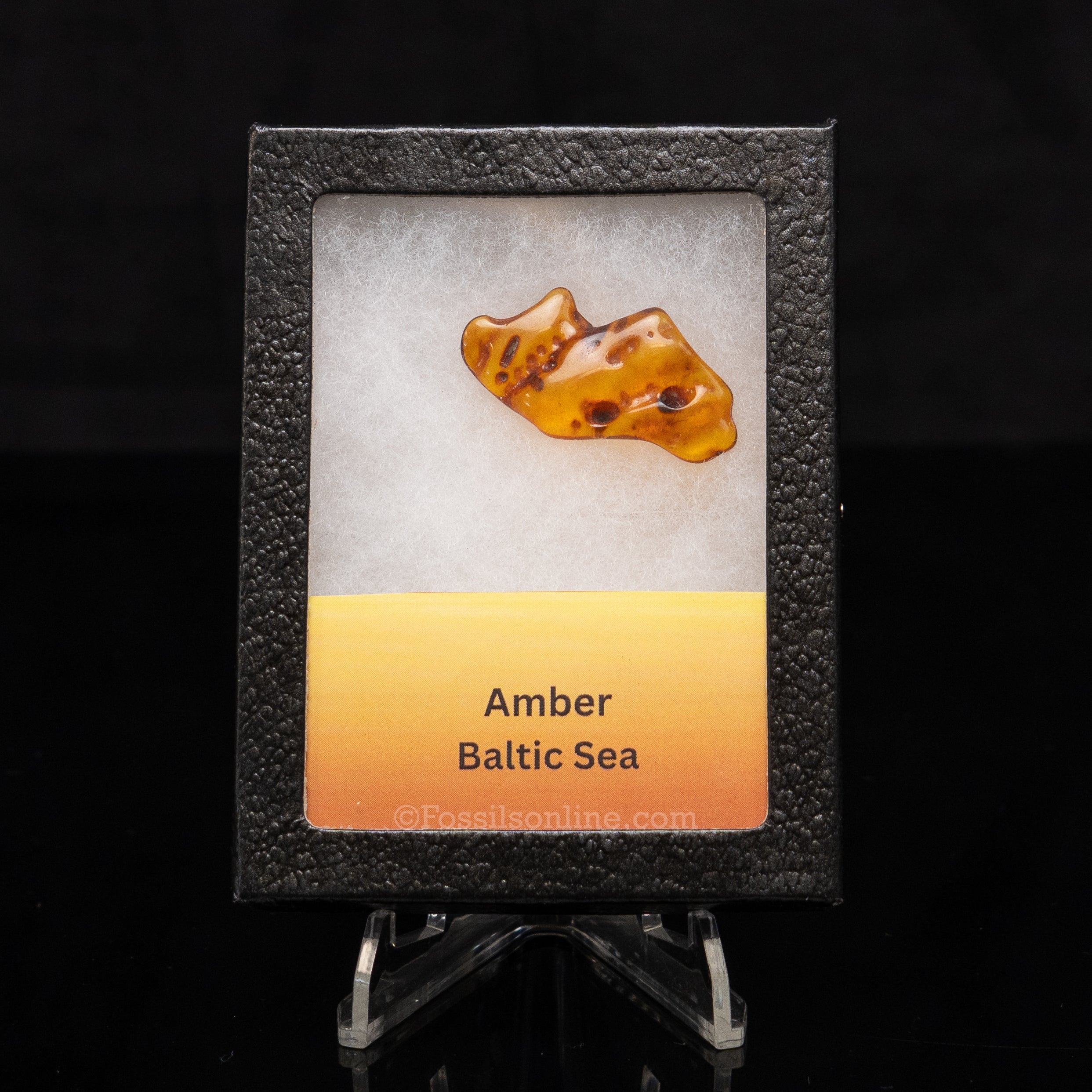 Baltic Amber