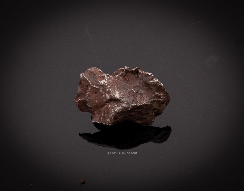 Sikhote-Alin Meteorite 15.1g