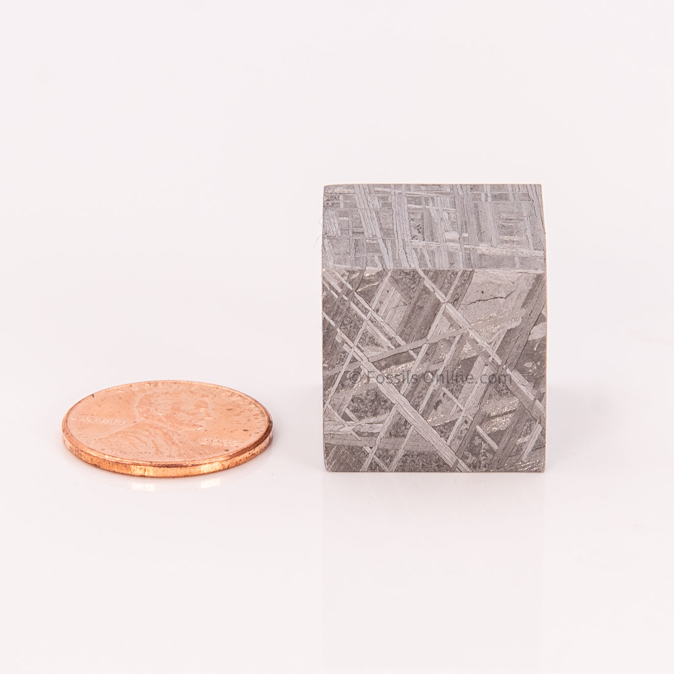 Muonionalusta Meteorite Cube 61gr