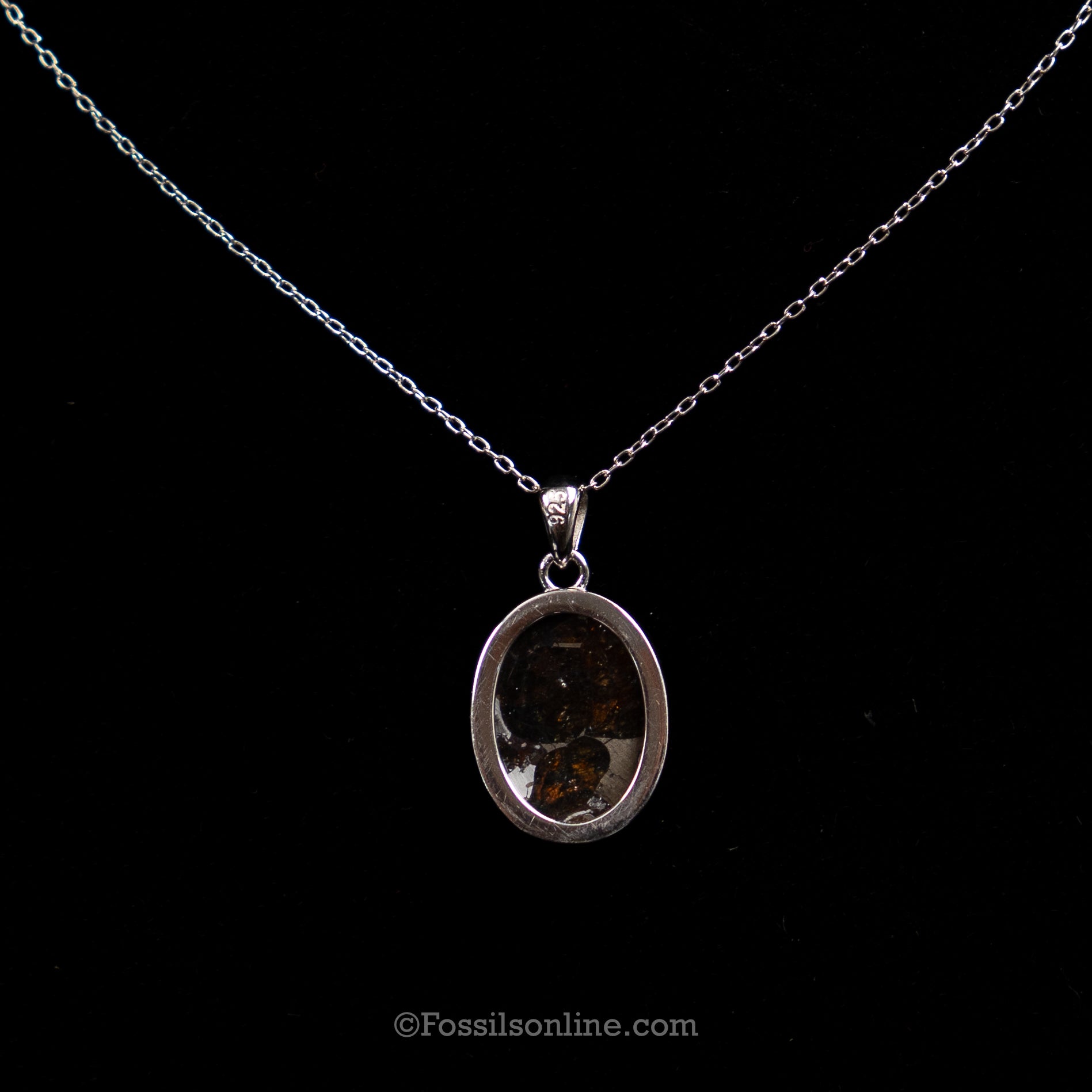 Sericho Meteorite Pendant .925