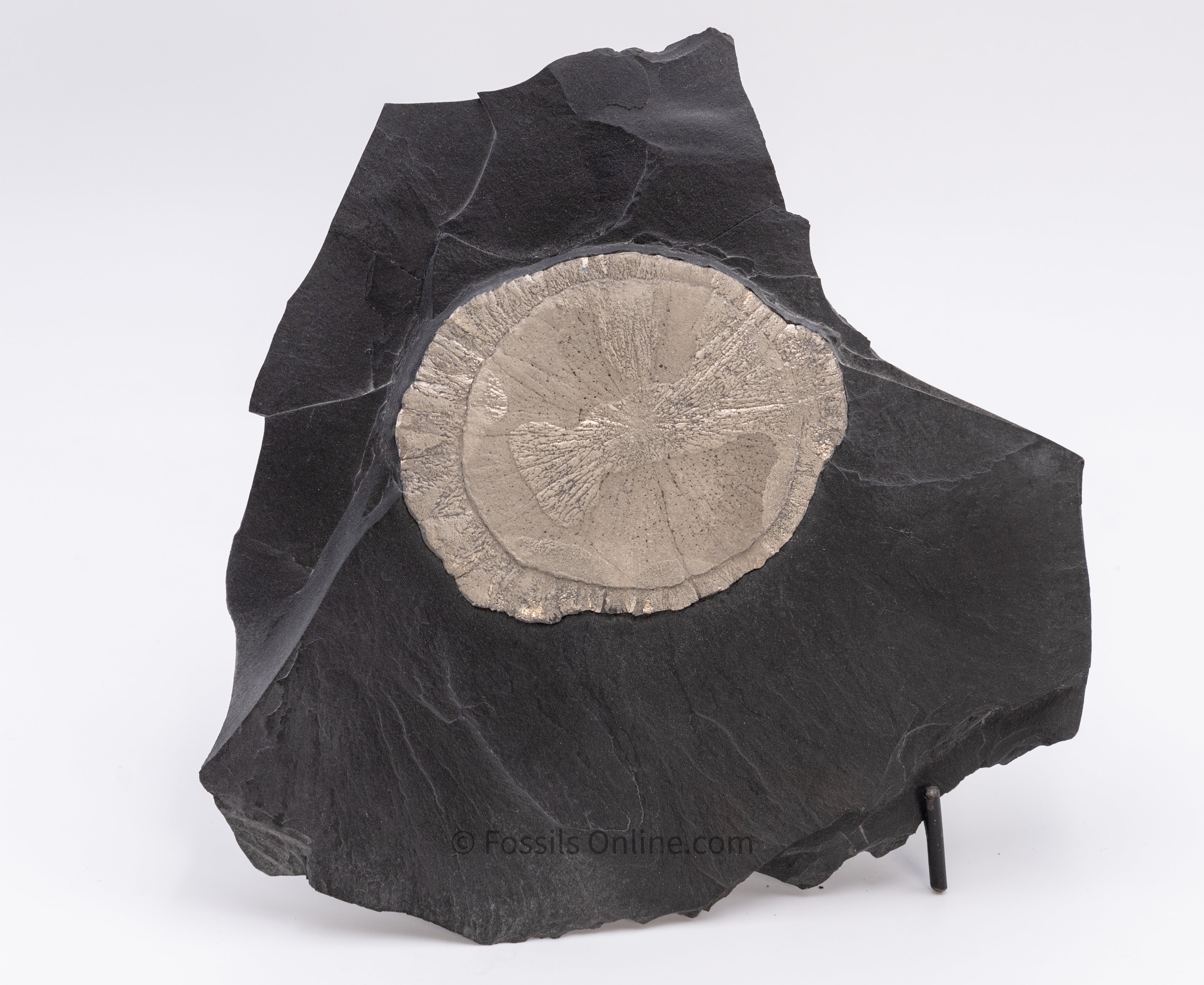 Large Pyrite Sun in Original Slate