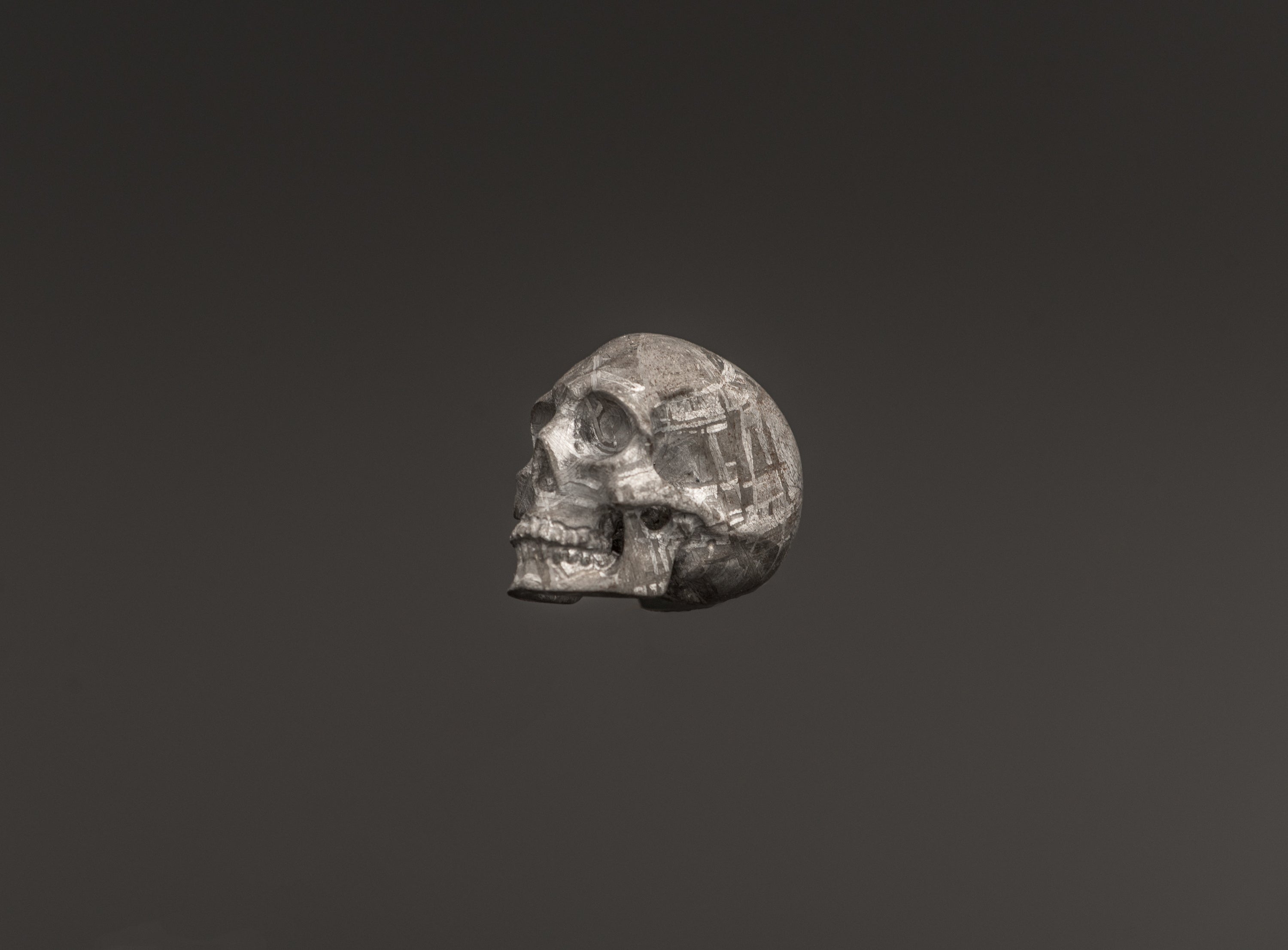 AMAZING Meteorite Skull