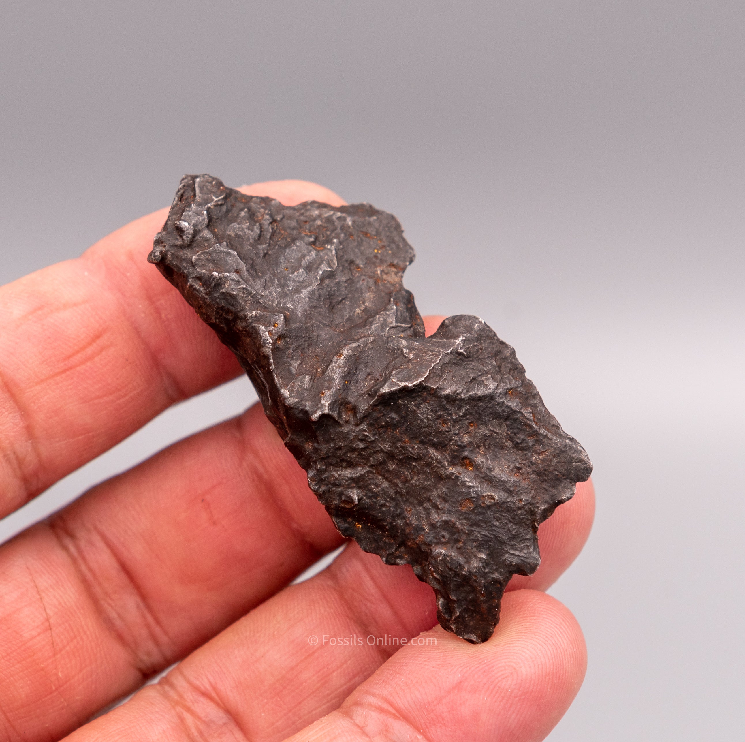 Sikhote-Alin Meteorite  58.1g
