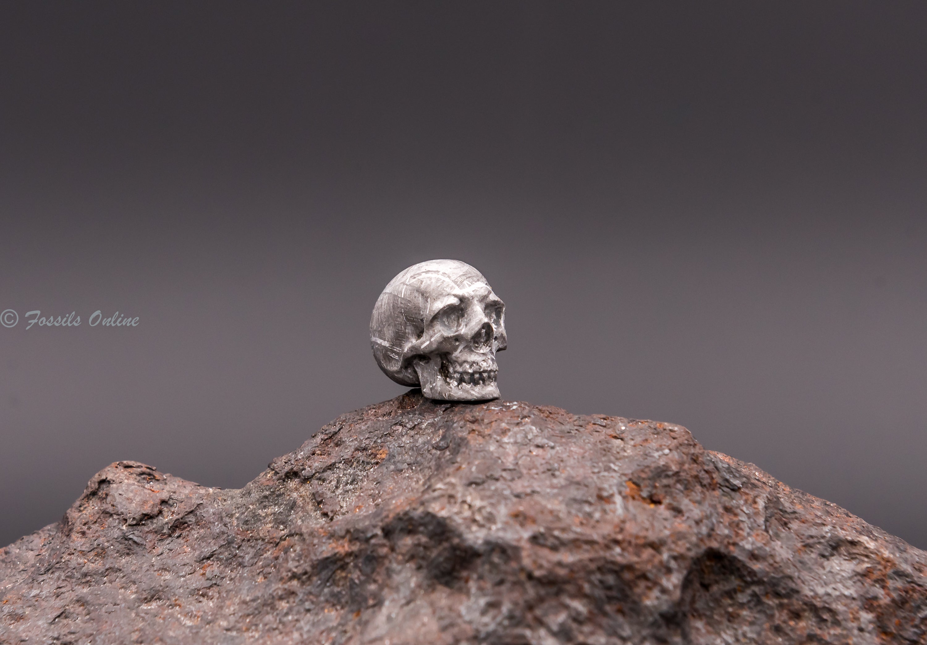 meteorite skull profile left