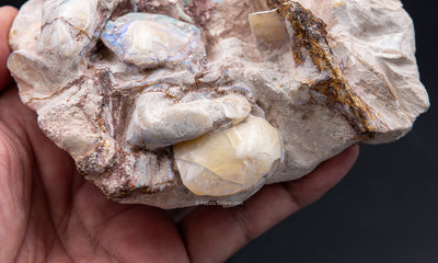 Shells