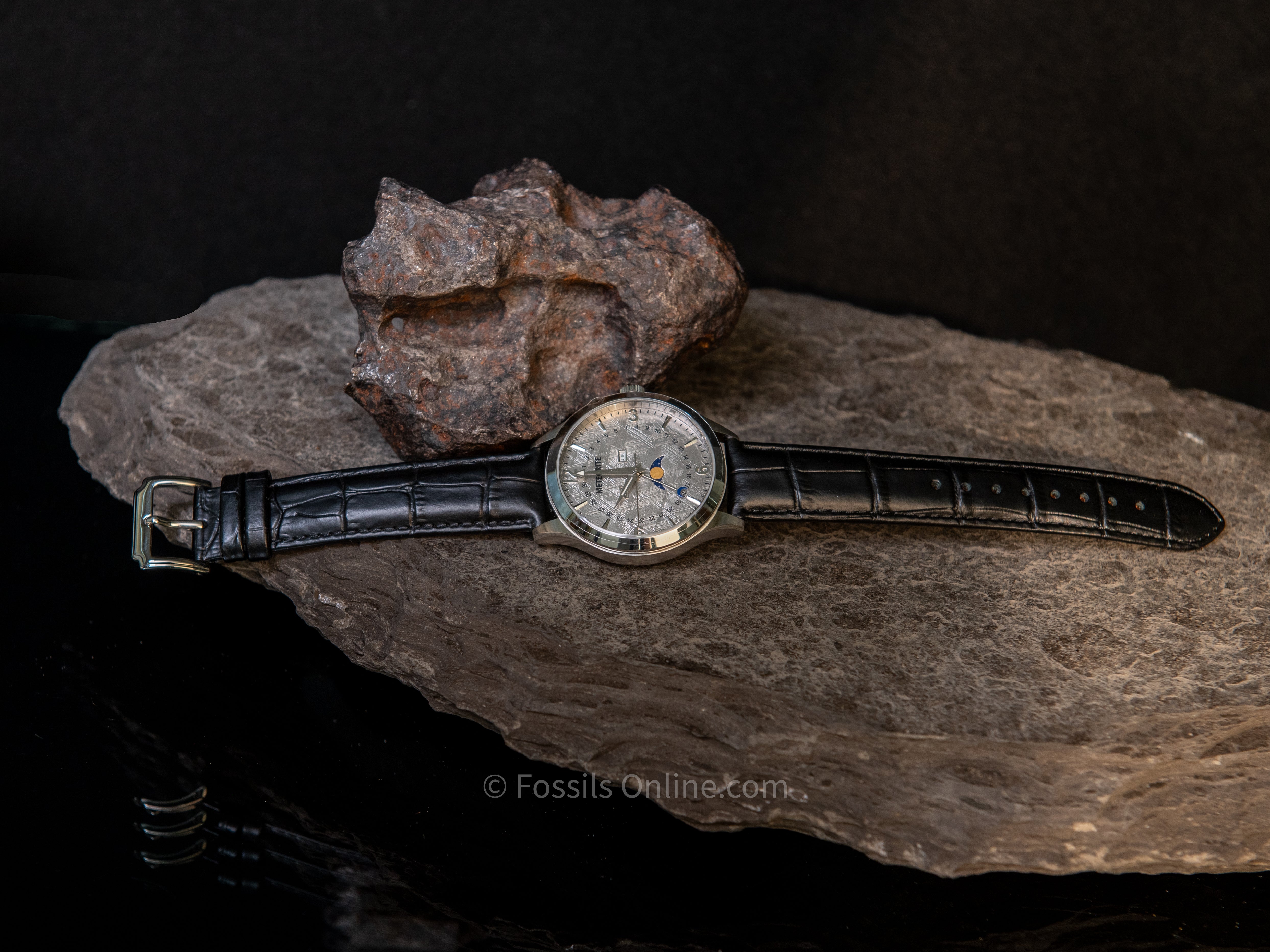 Muonionalusta Meteorite Watch