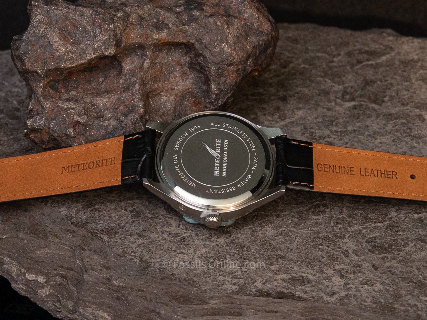 Muonionalusta Meteorite Watch