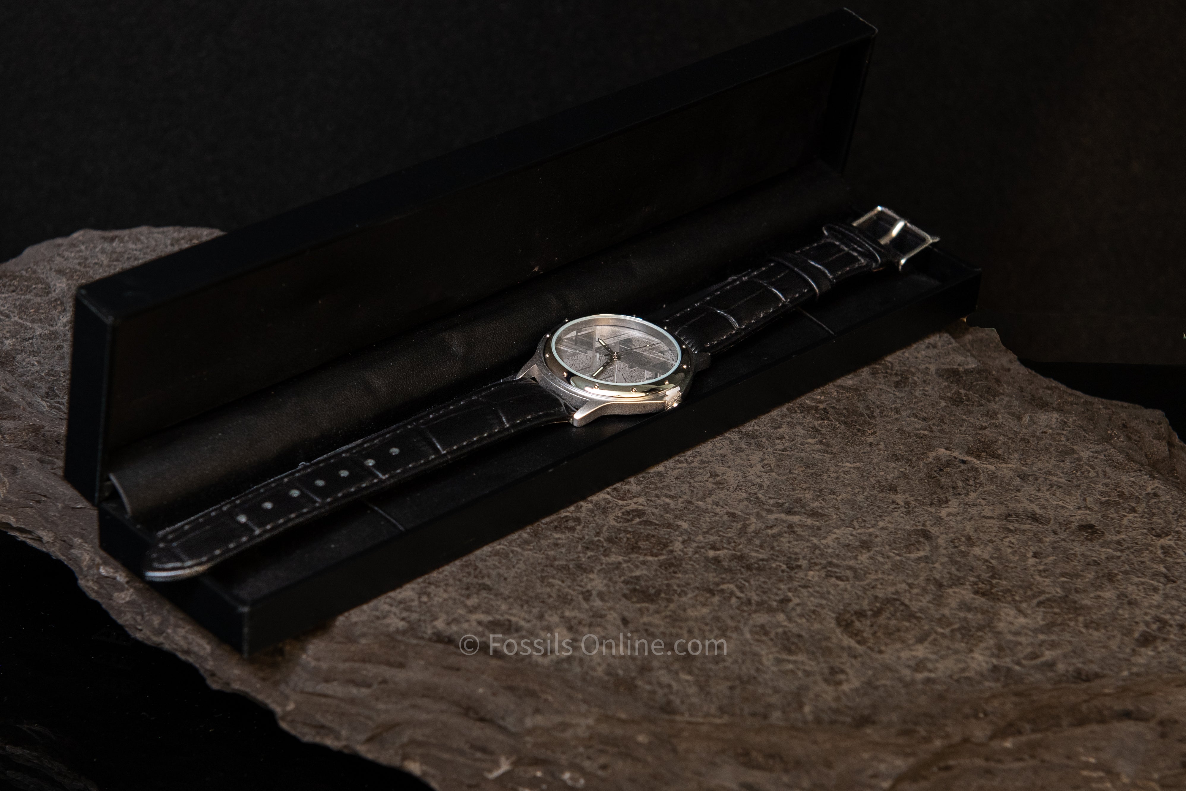 Muonionalusta Meteorite Watch