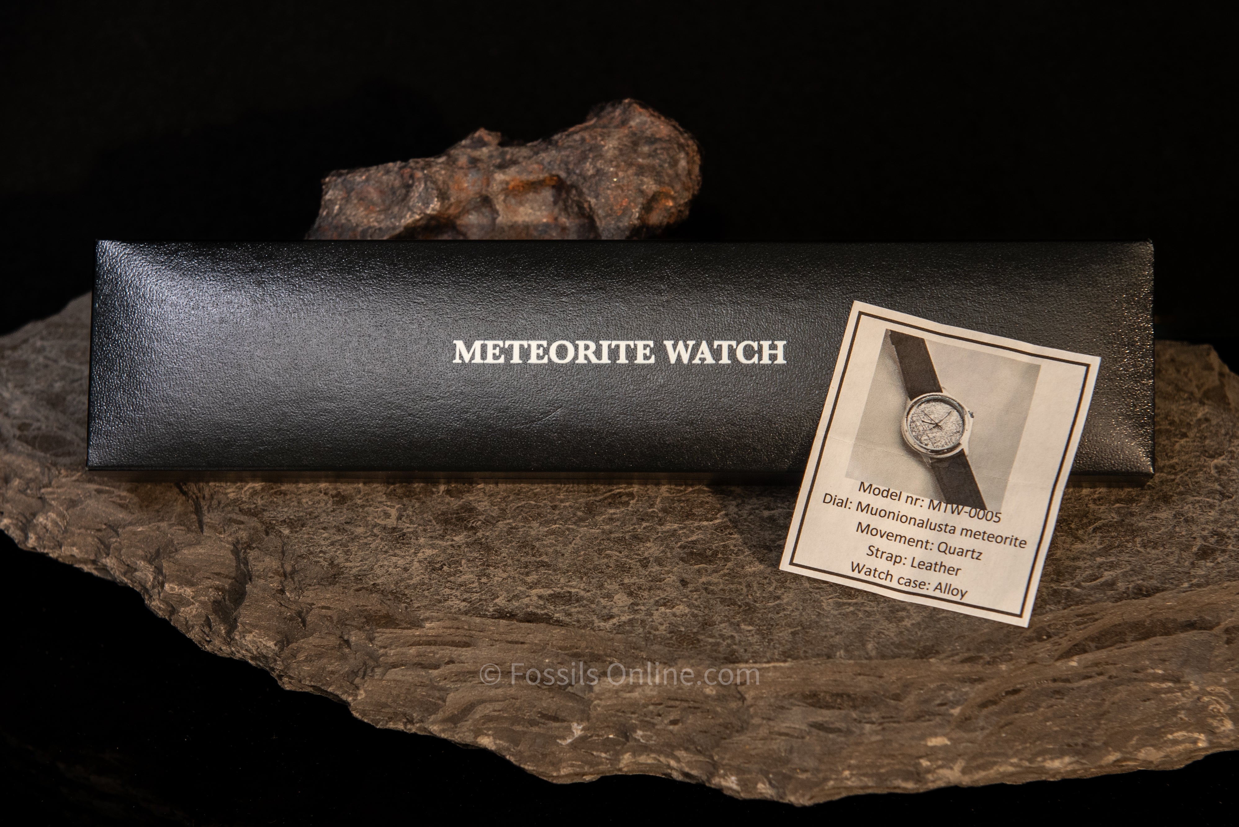 Muonionalusta Meteorite Watch