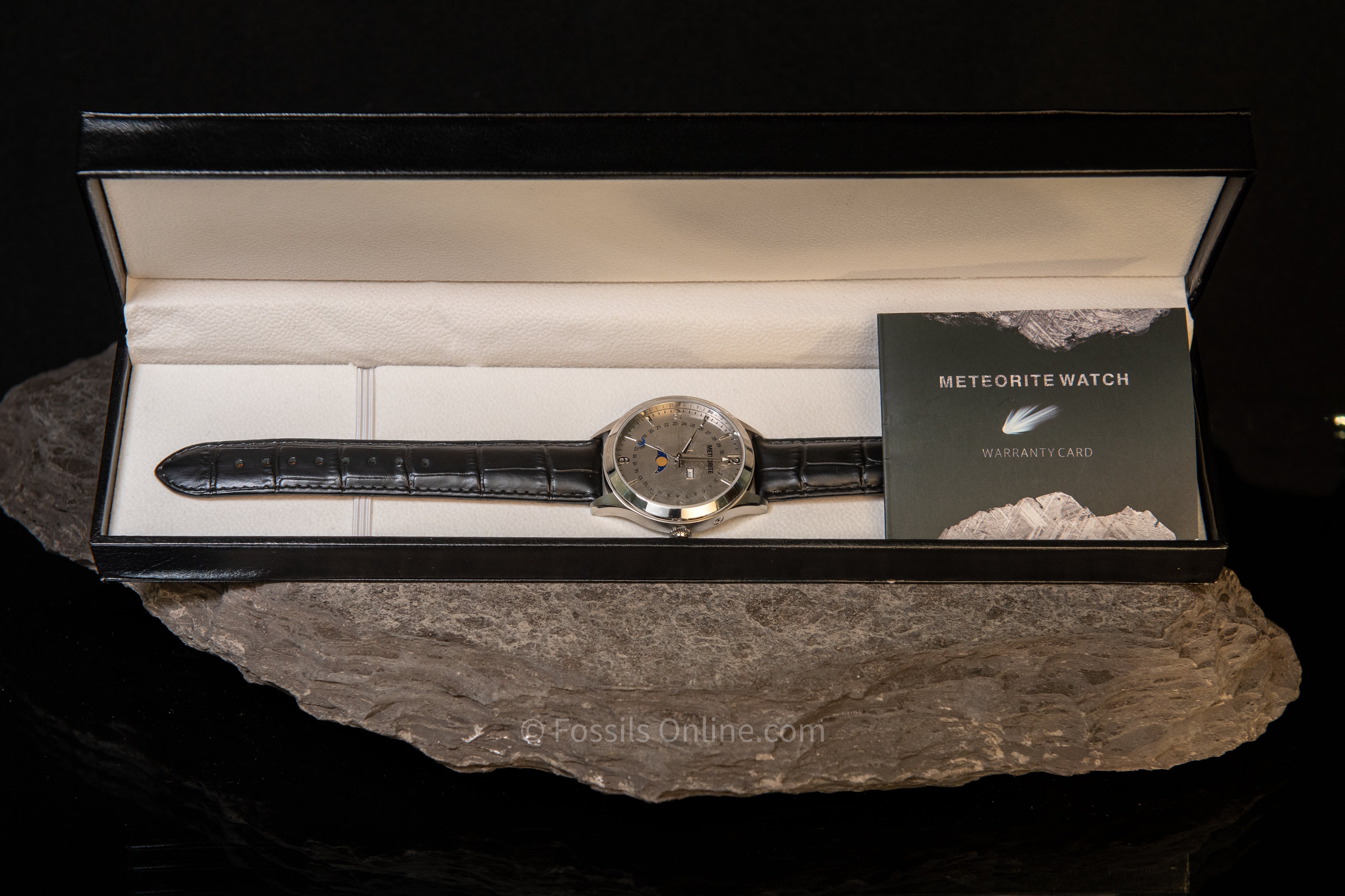 Muonionalusta Meteorite Watch