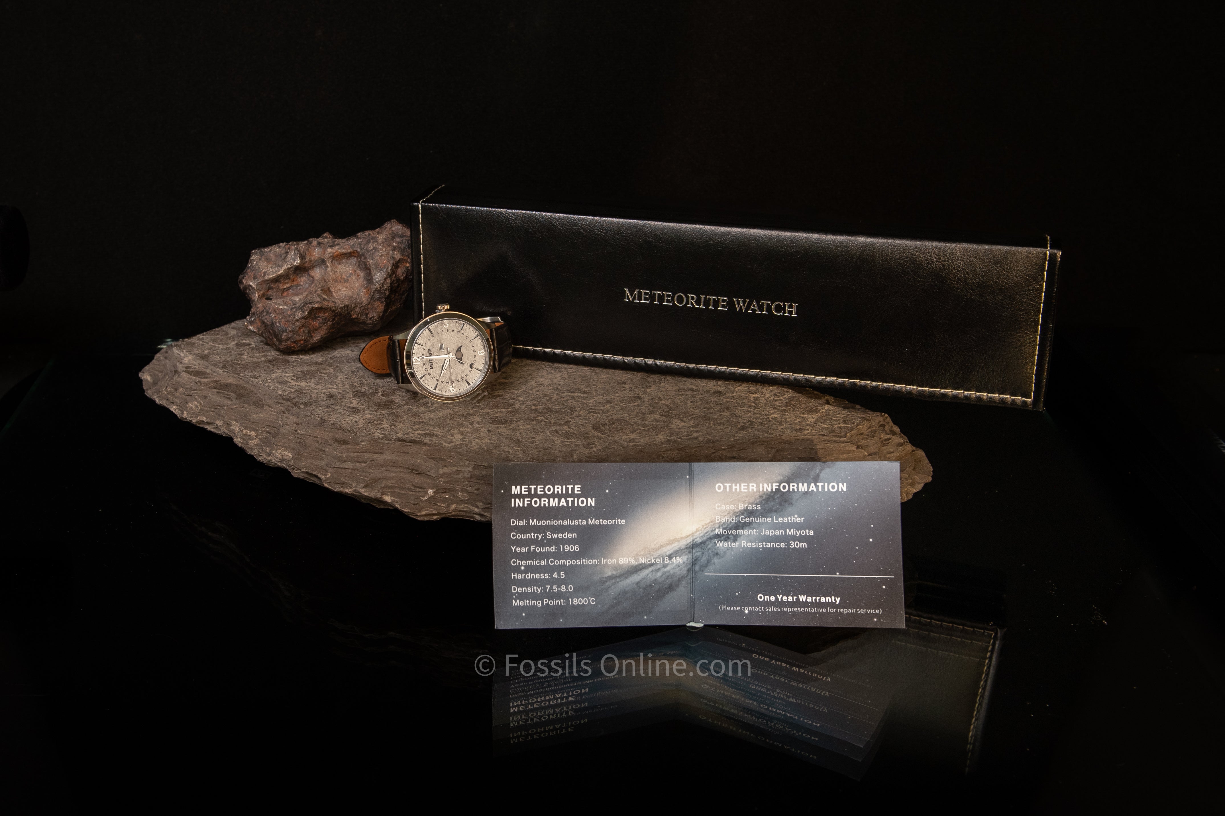 Muonionalusta Meteorite Watch