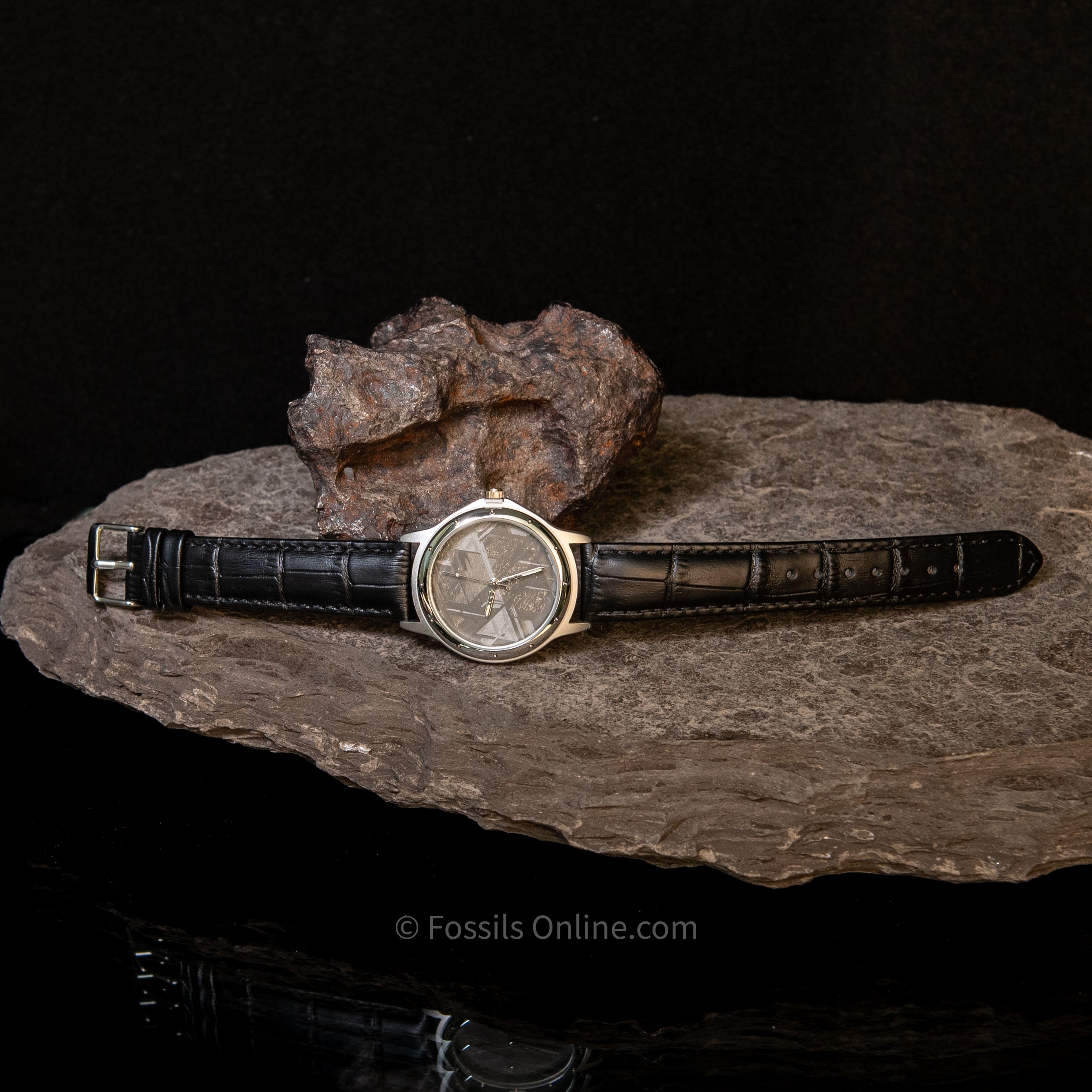 Muonionalusta Meteorite Watch