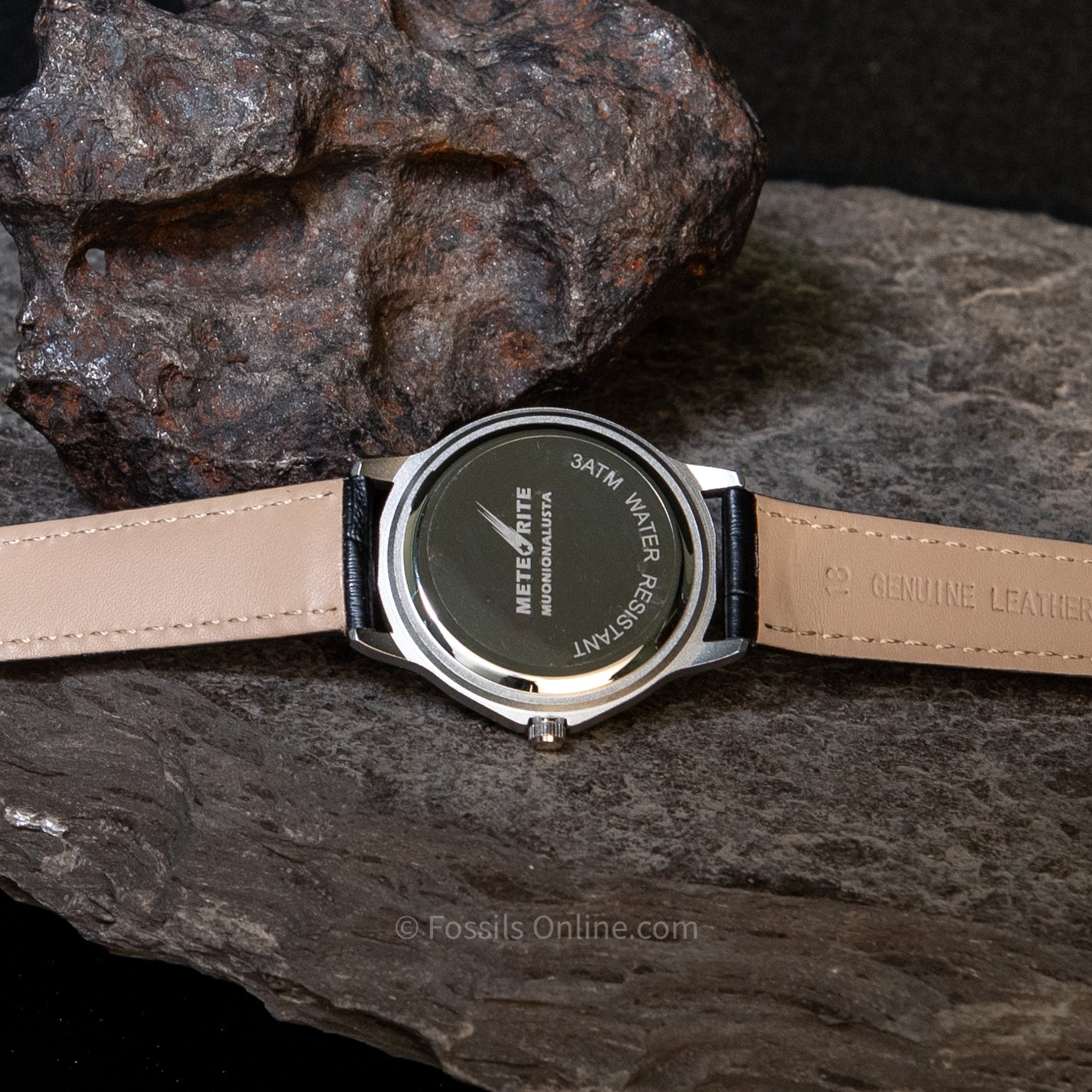 Muonionalusta Meteorite Watch