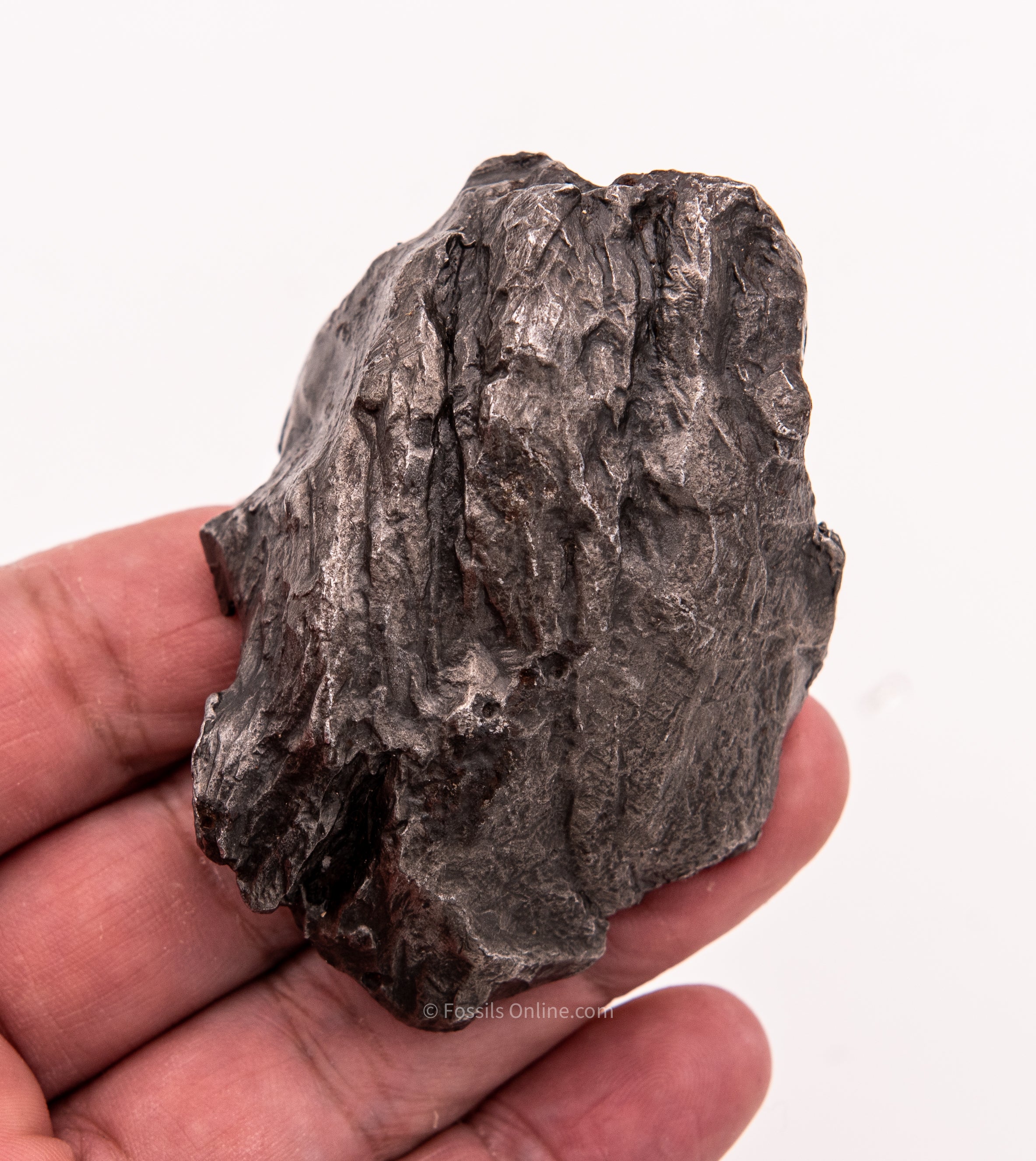 Sikhote-Alin Meteorite  310g