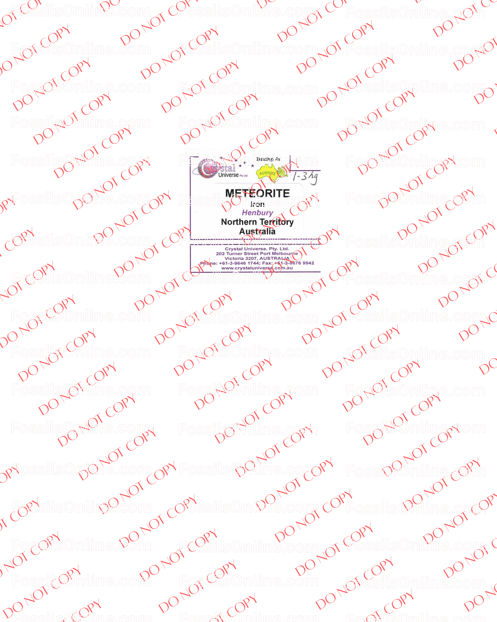 Henbury Meteorite 1265gr