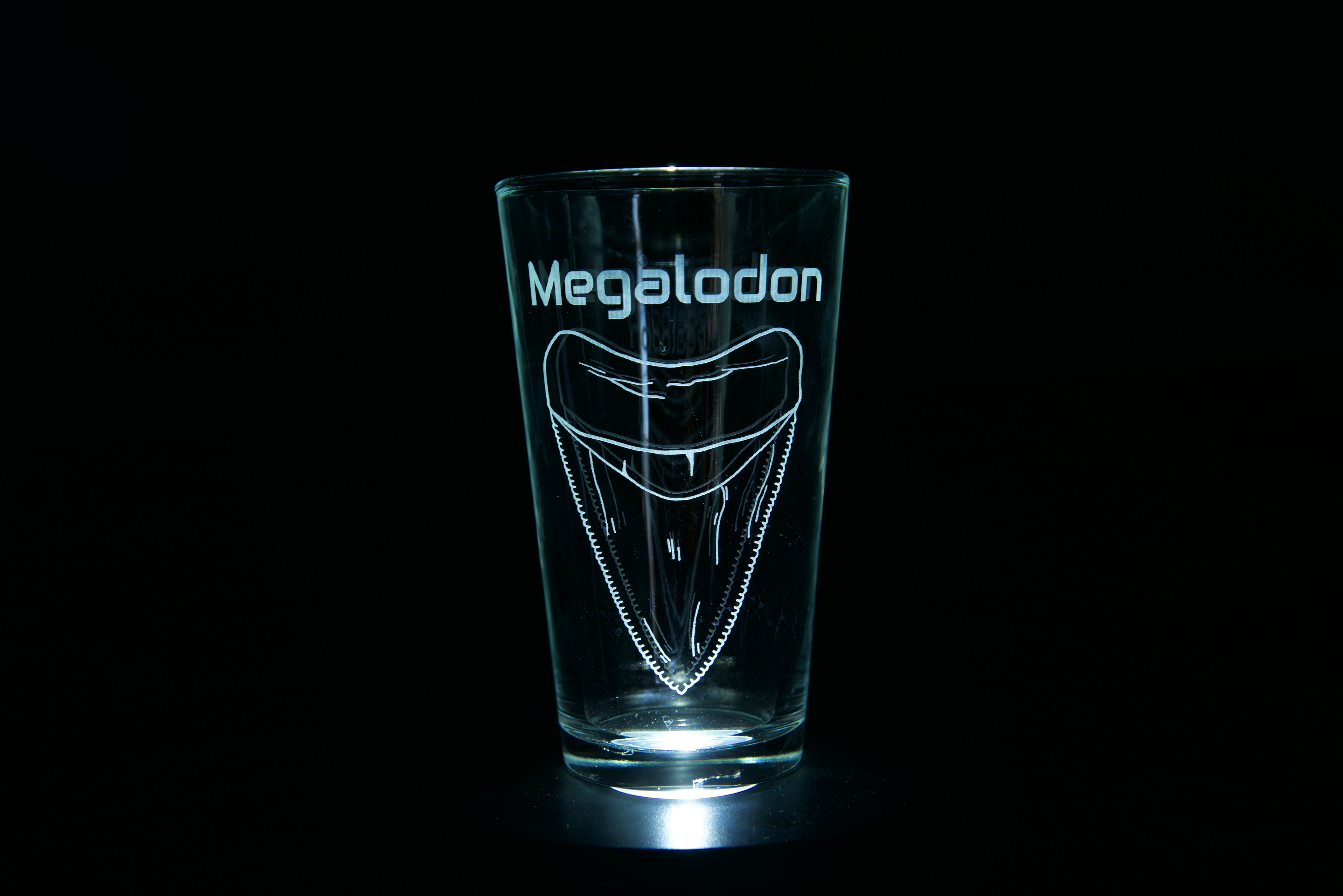 Megalodon Tooth Pint Glass 16oz