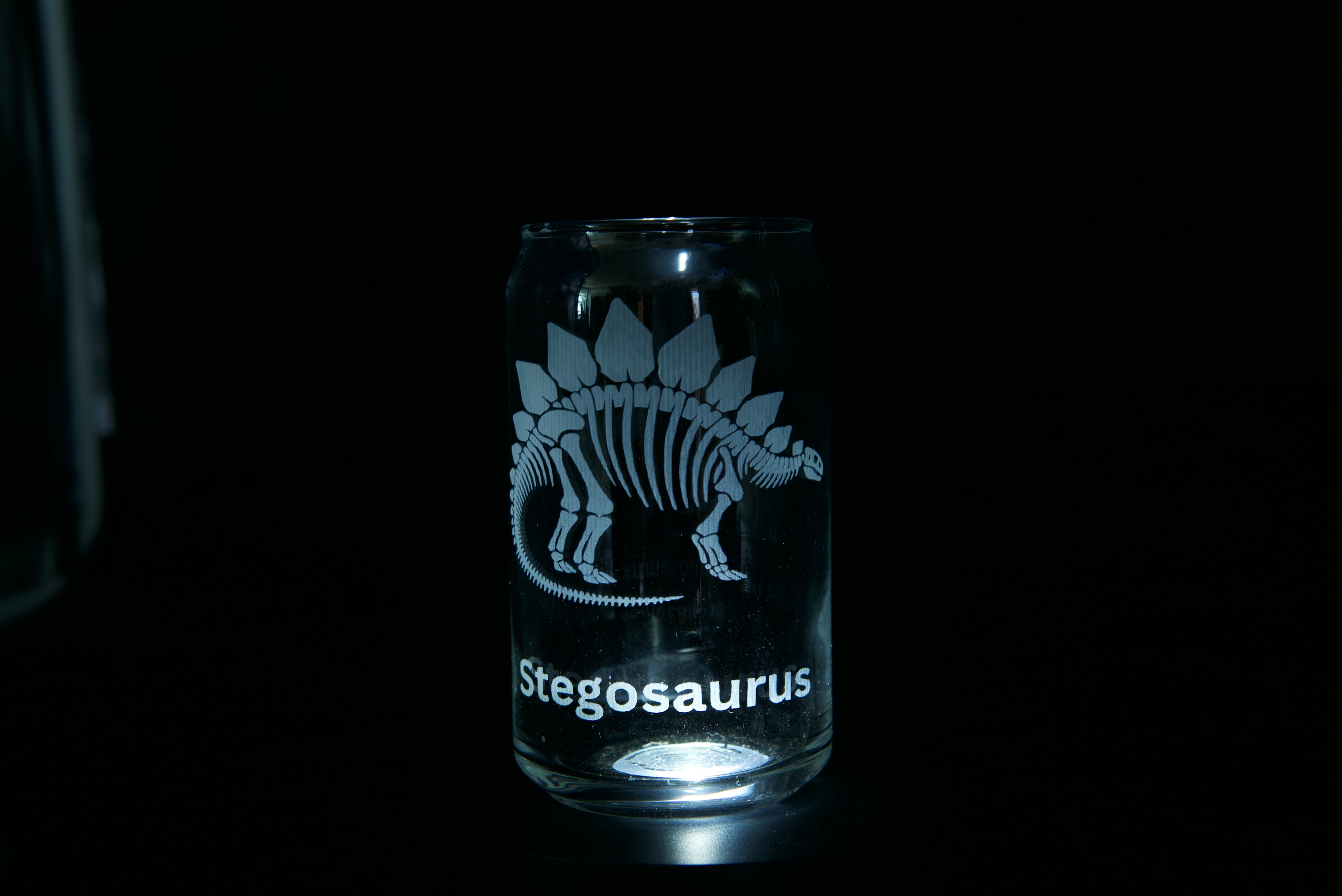Stegosaurus Can Glass Laser-Etched 16oz