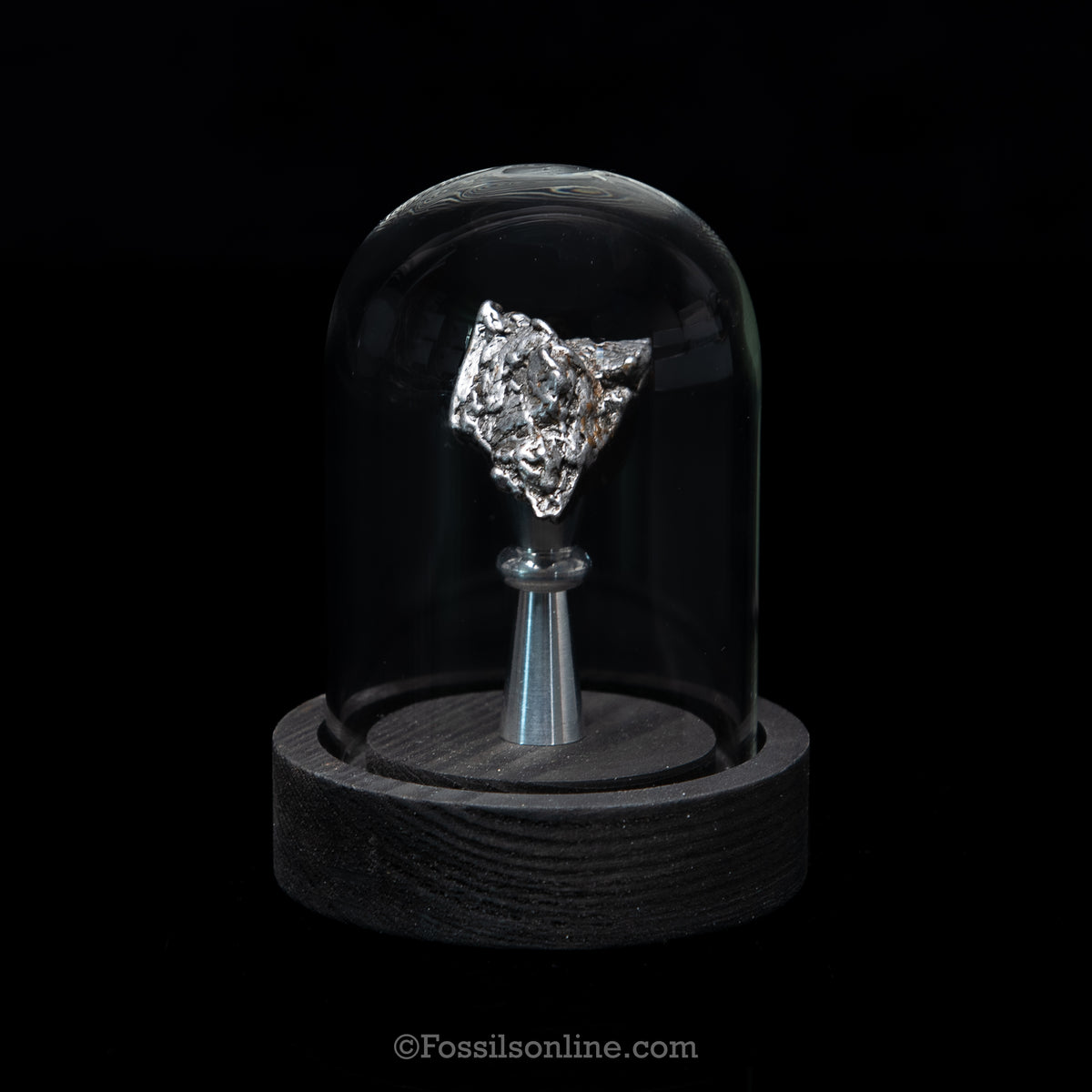 GENUINE Aletai Meteorite in a glass dome