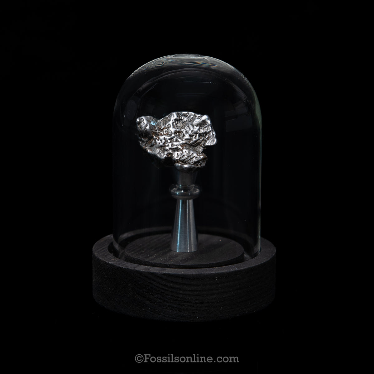 GENUINE Aletai Meteorite in a glass dome