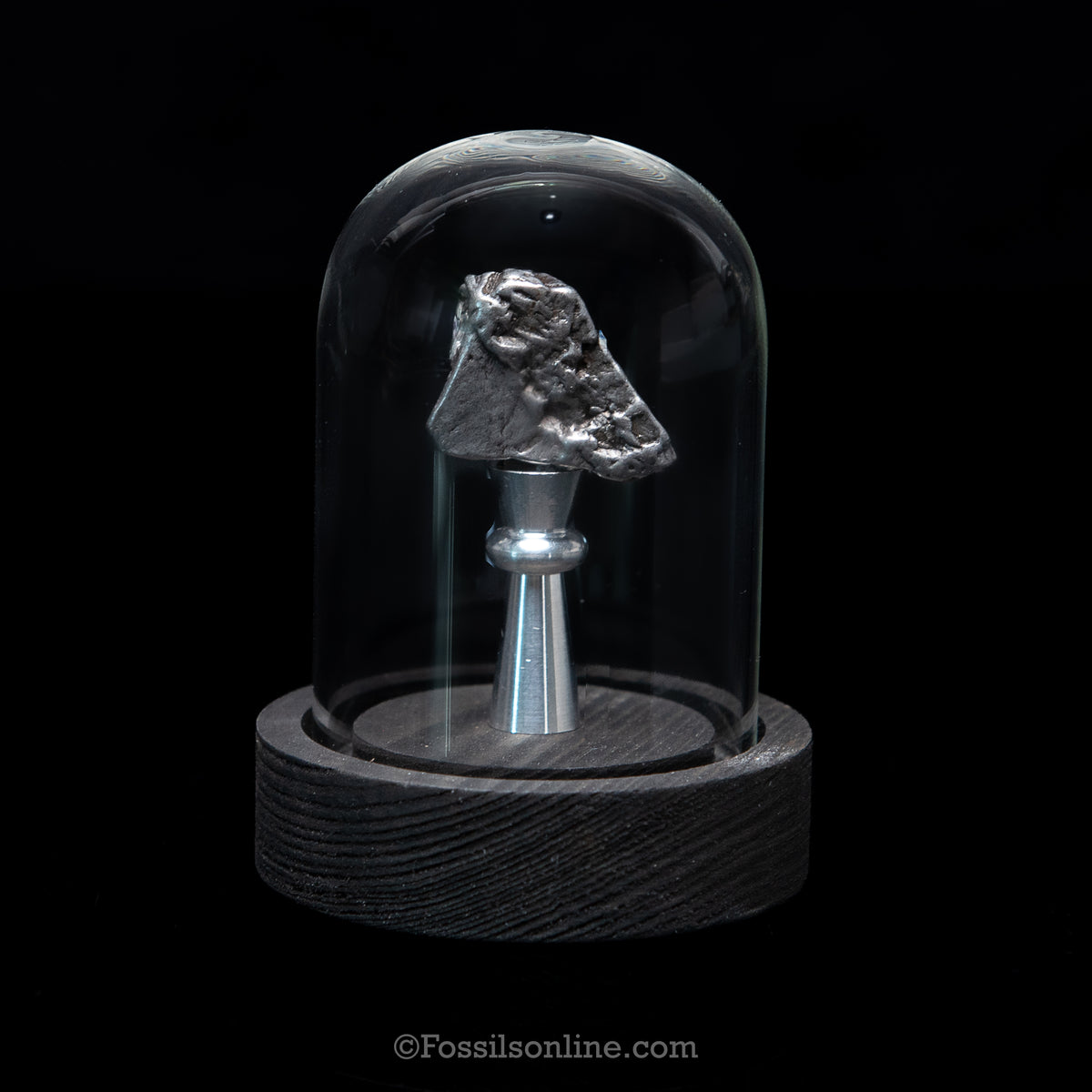 GENUINE Aletai Meteorite in a glass dome