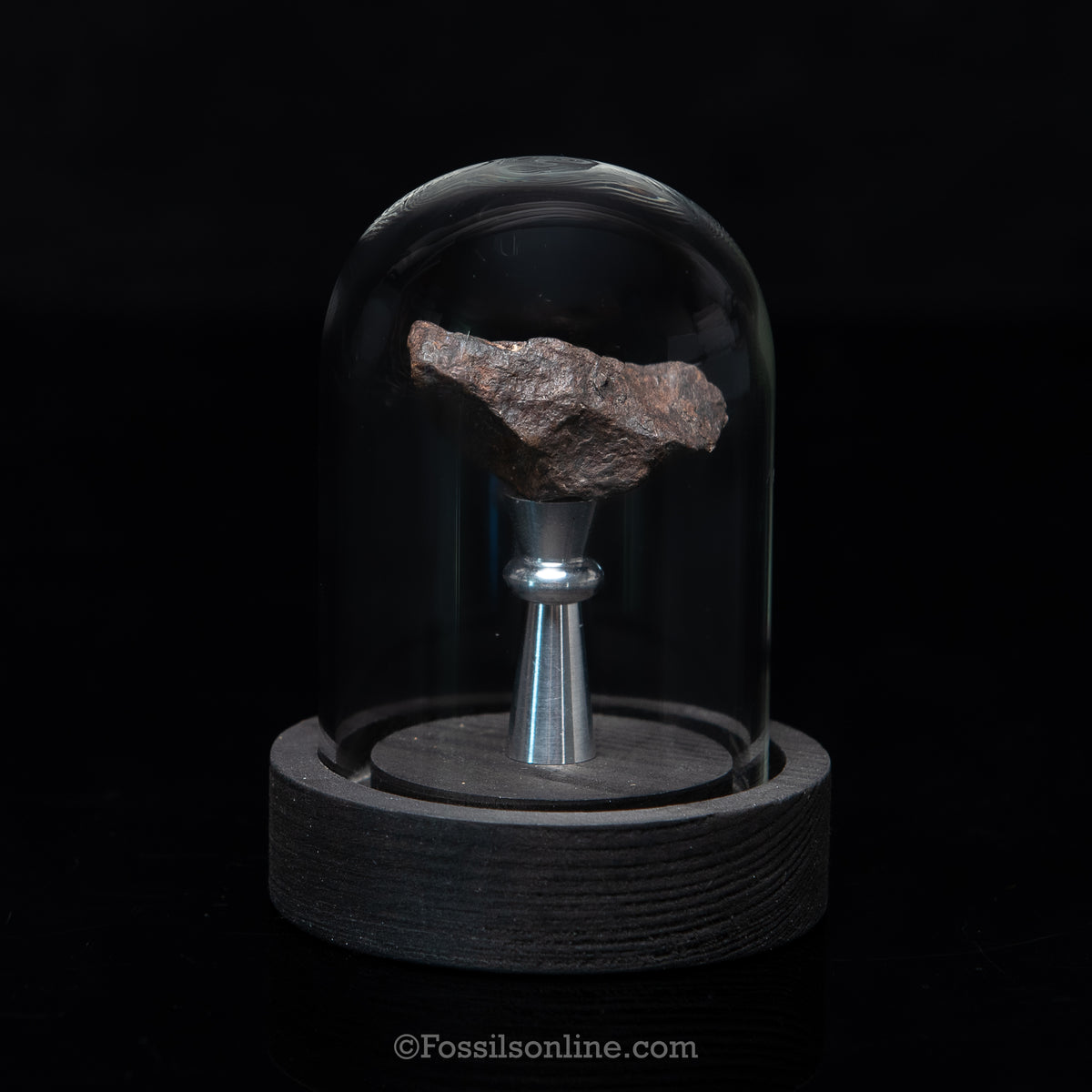 Genuine Canyon Diablo Meteorite in Glass Dome
