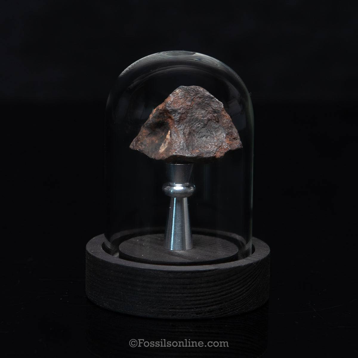 Genuine Canyon Diablo Meteorite in Glass Dome