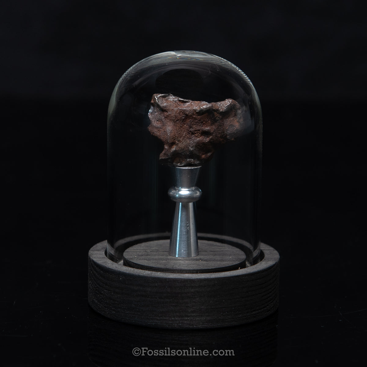 Genuine Gebel Kamil Meteorite in Glass Dome