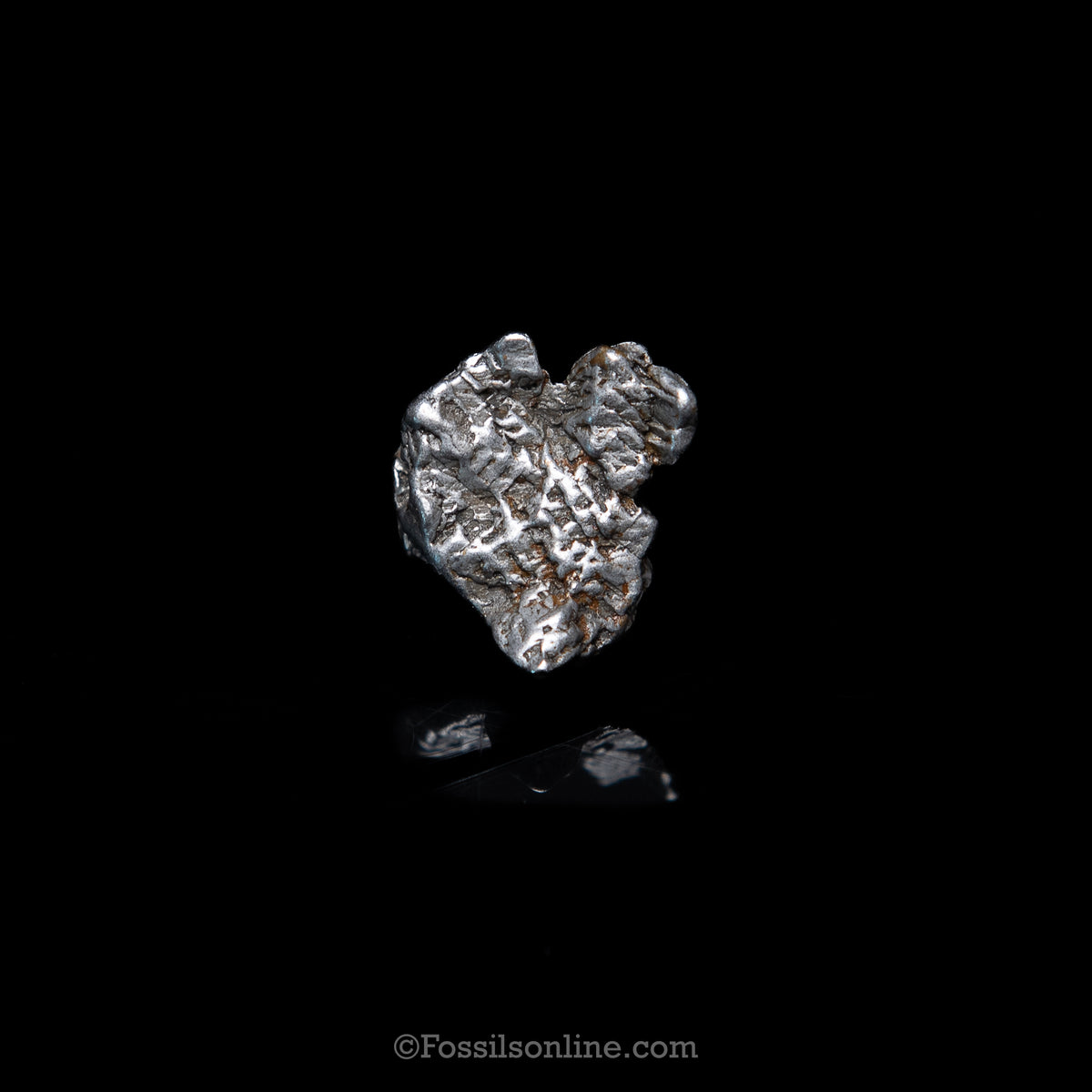 GENUINE Aletai Meteorite in a glass dome