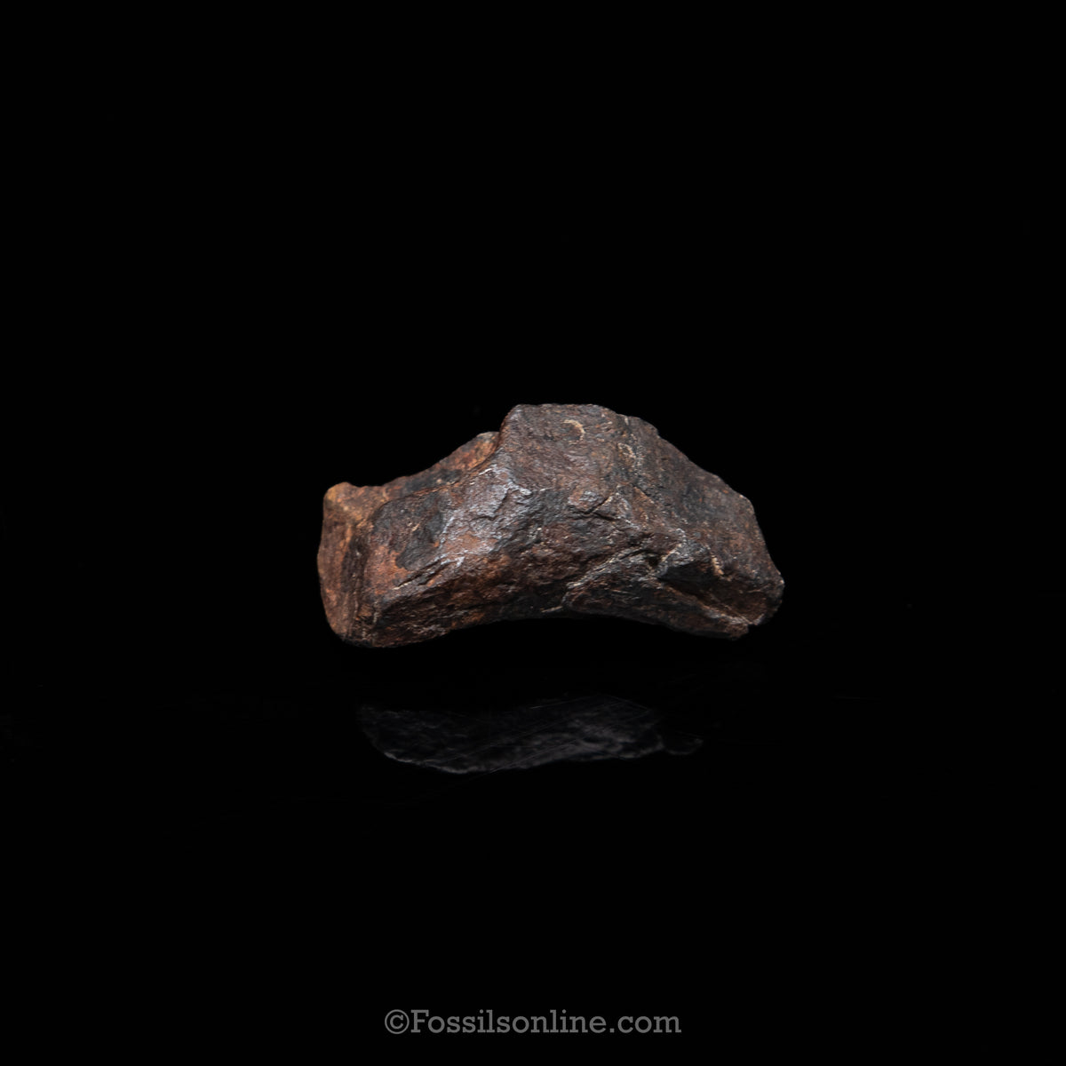 Genuine Canyon Diablo Meteorite in Glass Dome