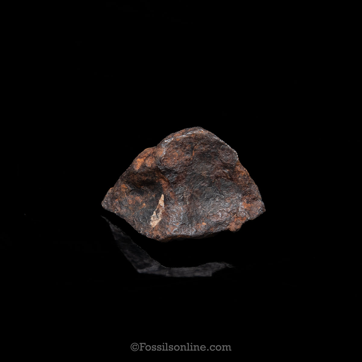 Genuine Canyon Diablo Meteorite in Glass Dome