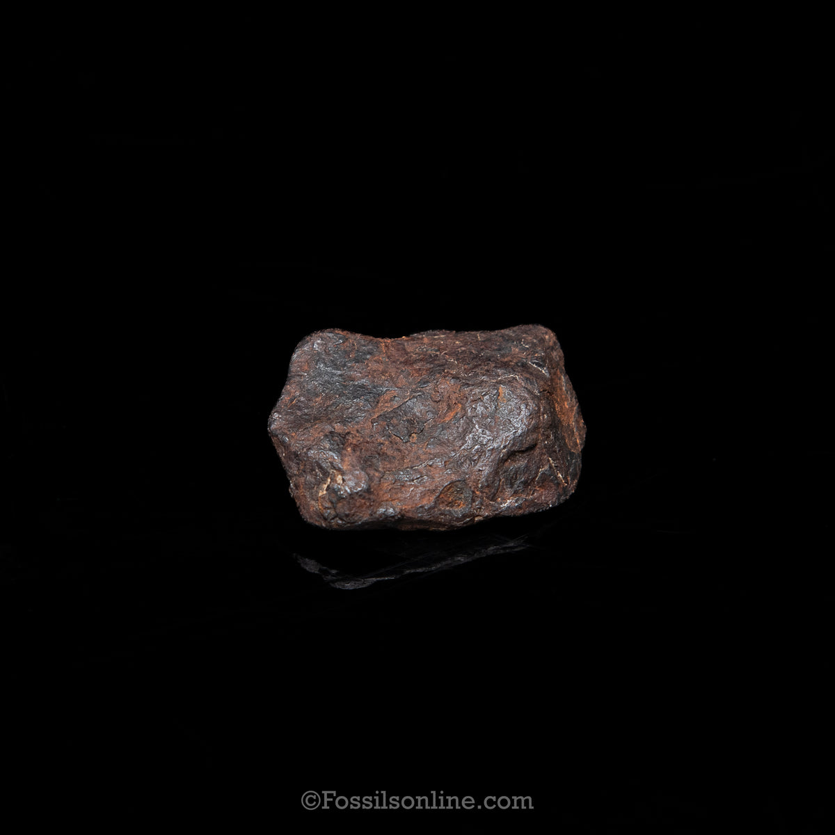 Genuine Canyon Diablo Meteorite in Glass Dome