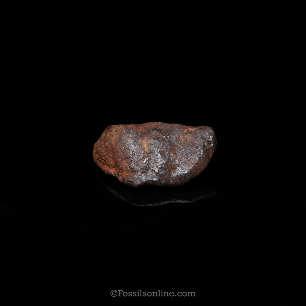 Genuine Gebel Kamil Meteorite in Glass Dome